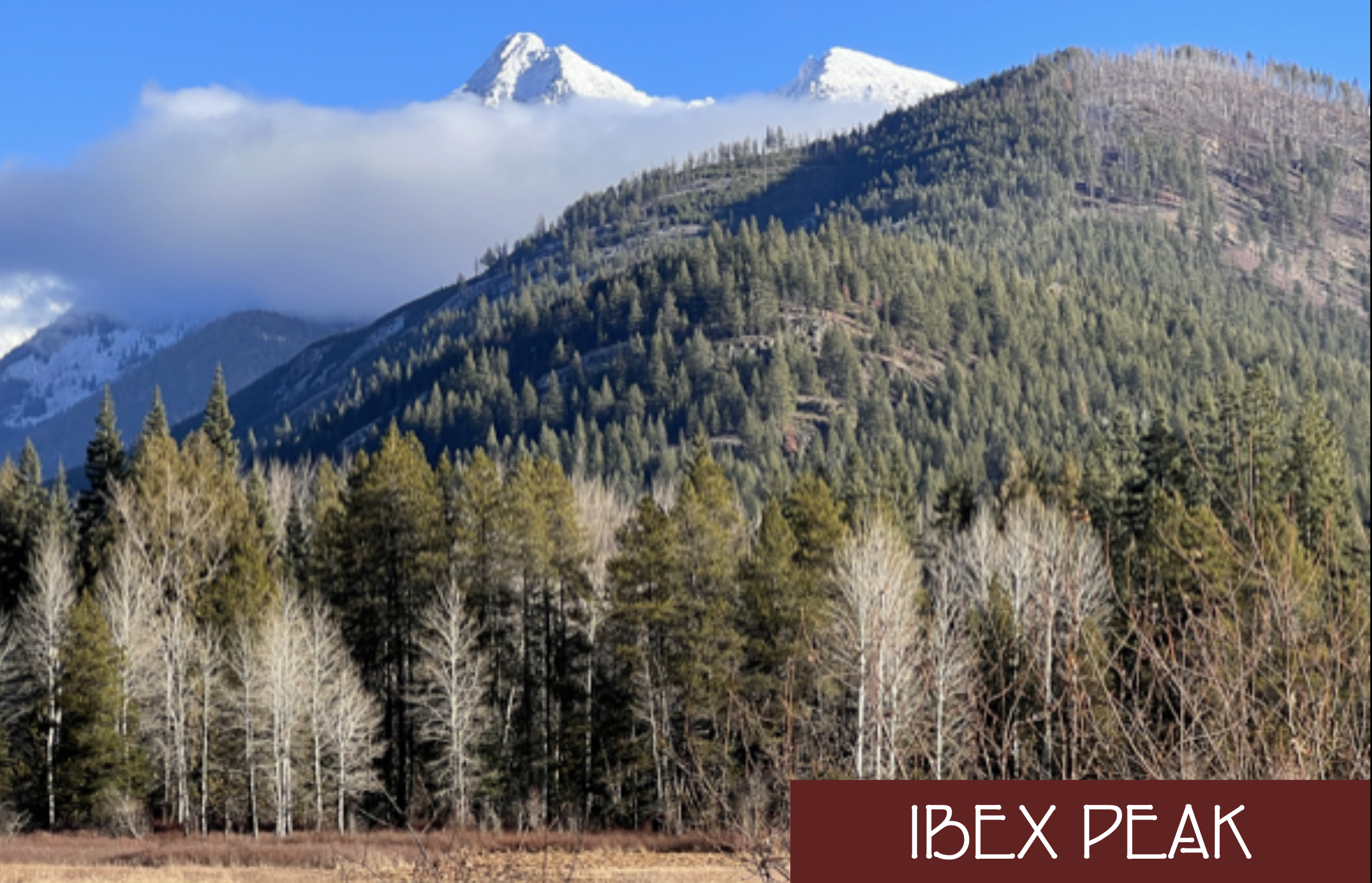 Snow-capped mountains labeled "Ibex Peak" with lush forested hills and bare trees in the foreground.