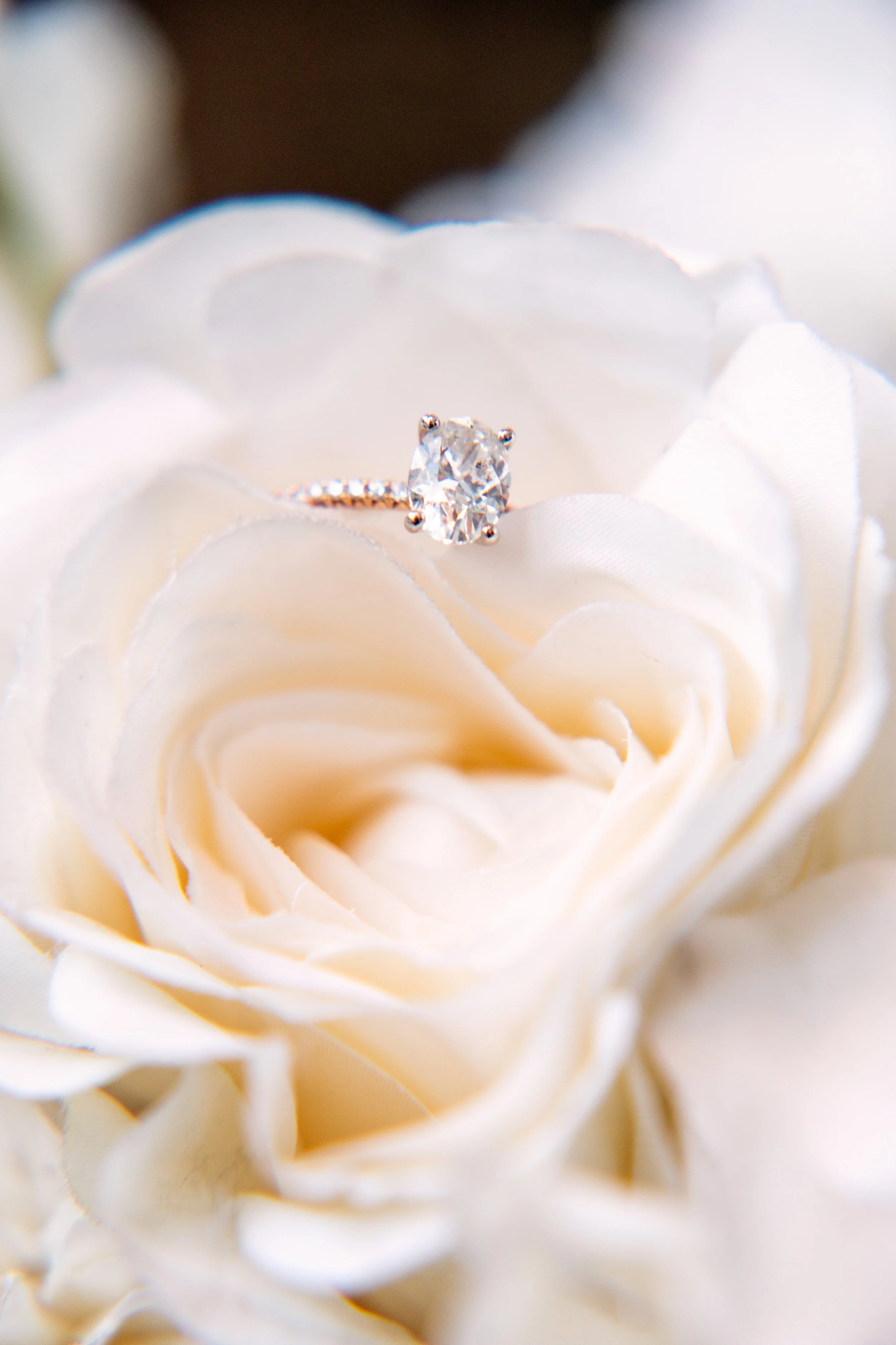 A sparkling diamond engagement ring resting on a white rose.