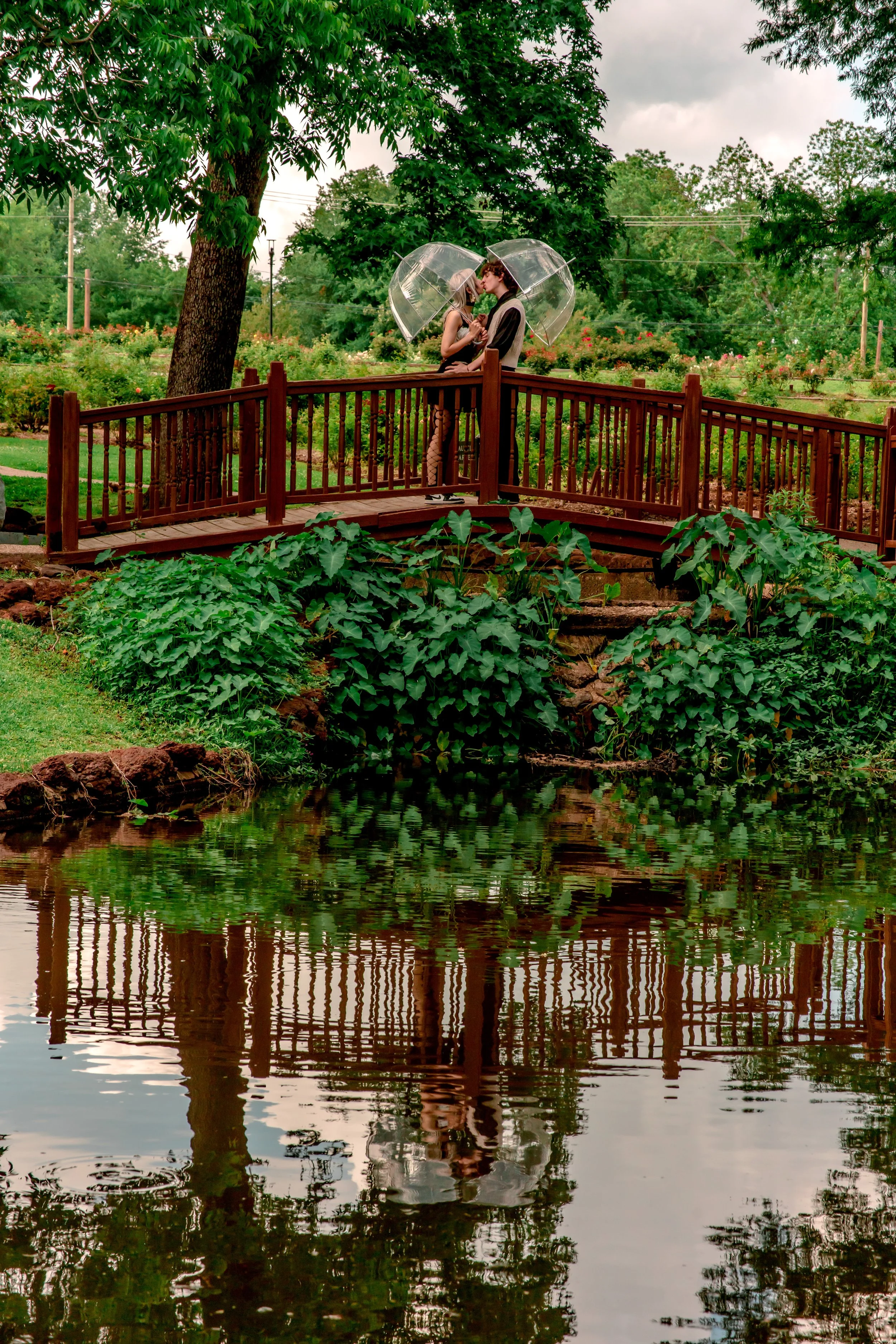 A couple standing on a wooden bridge holding clear umbrellas in a lush, green park with a body of water below, trees, and a cloudy sky.