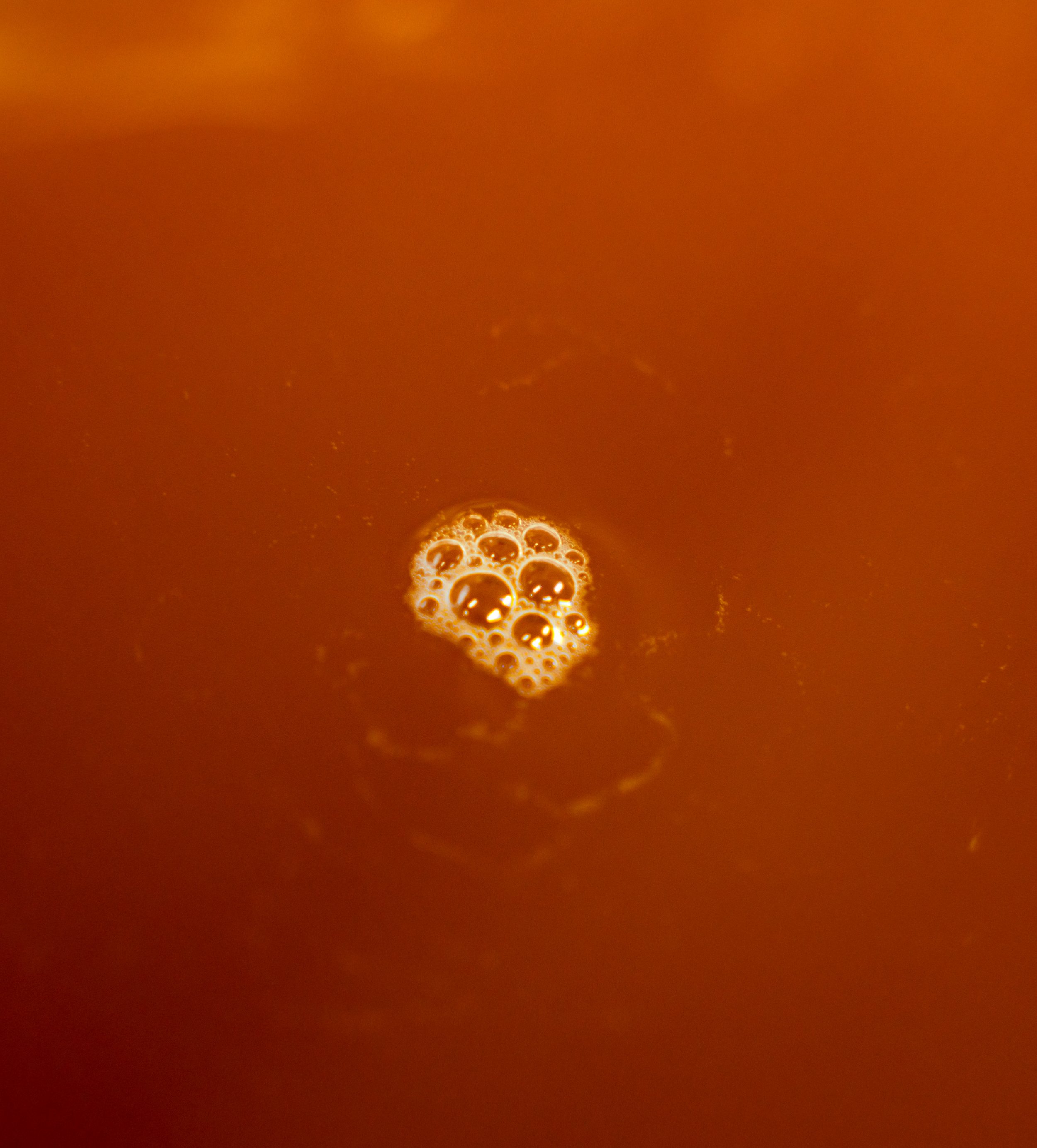 Close-up view of a small cluster of bubbles forming in a dark amber liquid.