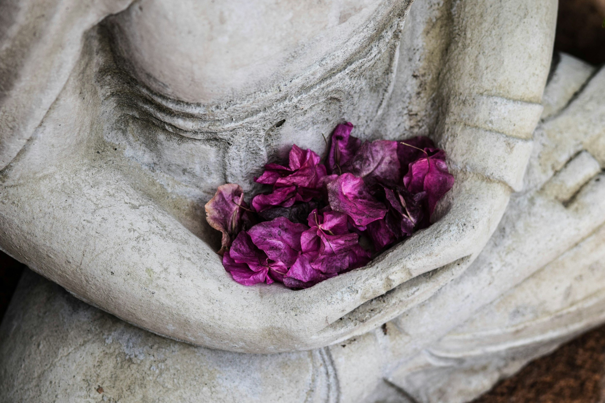 Stone sculpture holding purple petals