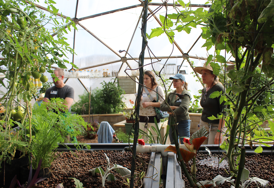 Flagstaff_Aquaponics_Tour.png