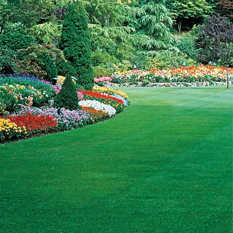 A beautifully maintained garden with a lush green lawn bordered by colorful flower beds and tall, green trees.
