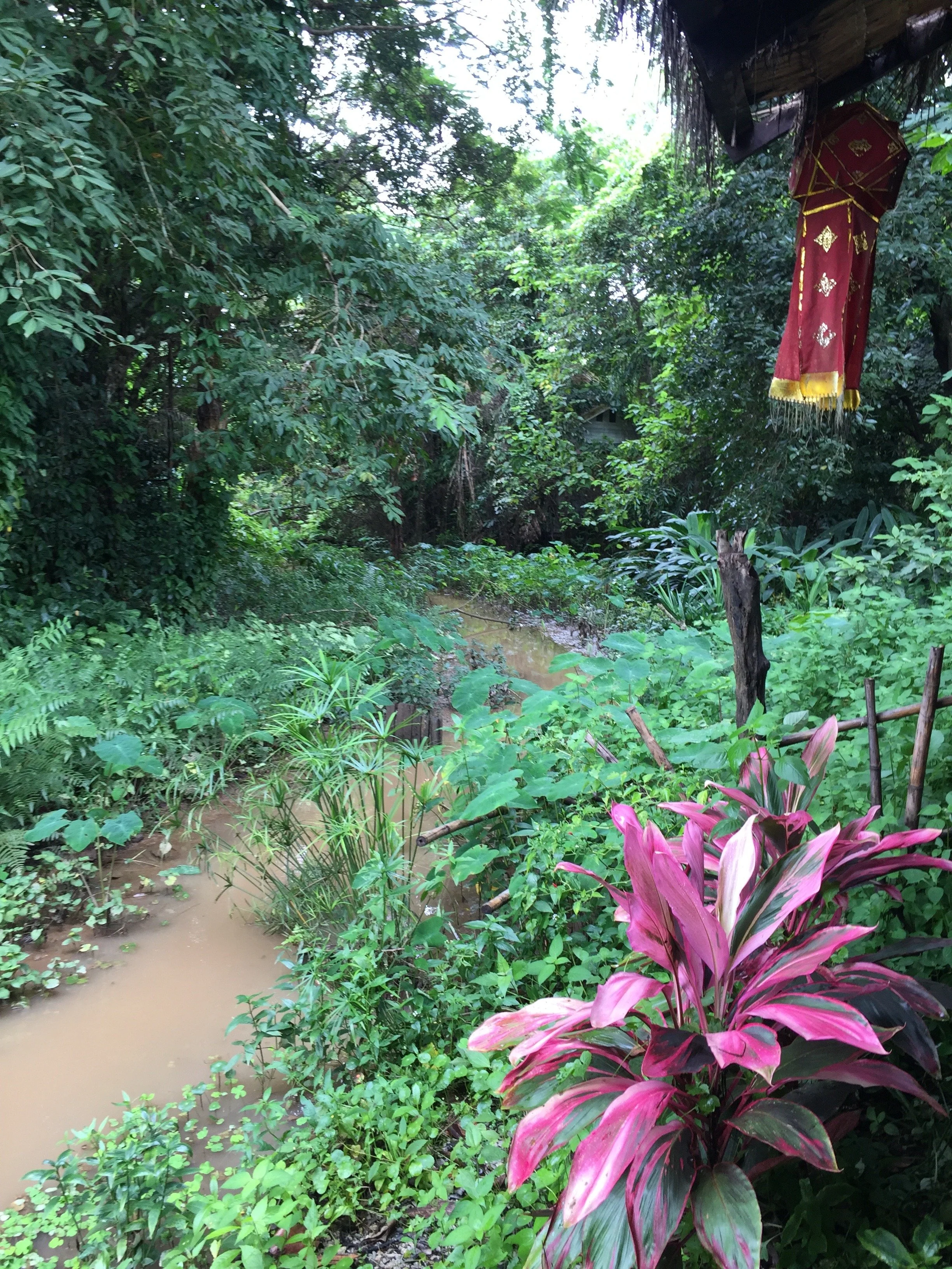 "Gods Yellow House creek behind the cottage"
