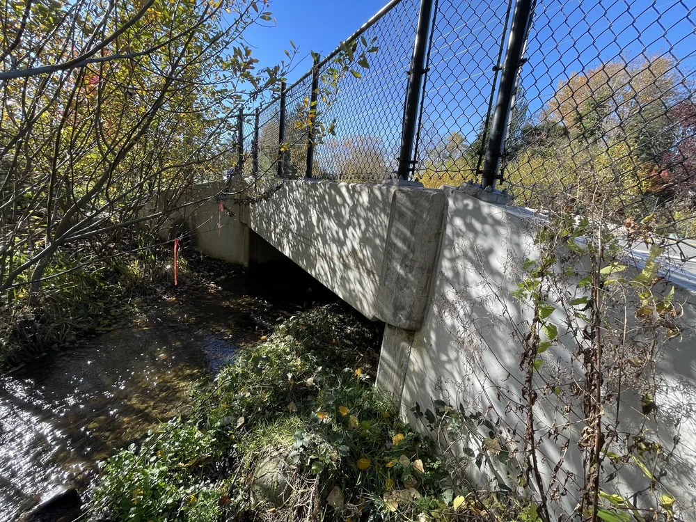 212th Avenue SE Flood Mitigation and Fish Passage Feasibility Study