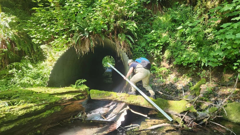 East Creek Fish Passage Culvert Removals and Forest Road Decommissioning