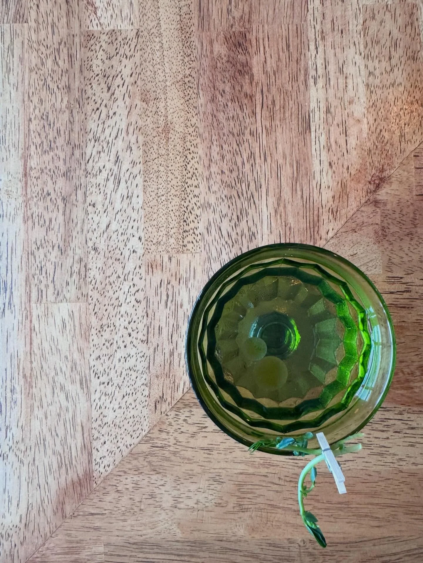 GARDEN PARTY

snap pea infused gin, bay leaf vermouth, g&eacute;n&eacute;py, saline, peashoot

🫛we are manifesting spring in a BIG way over here🫛

See you tonight 4-9, HAPPY HOUR 4-6 💚

#bellinghamexperience #farmtotable #seafoodrestaurant #spring