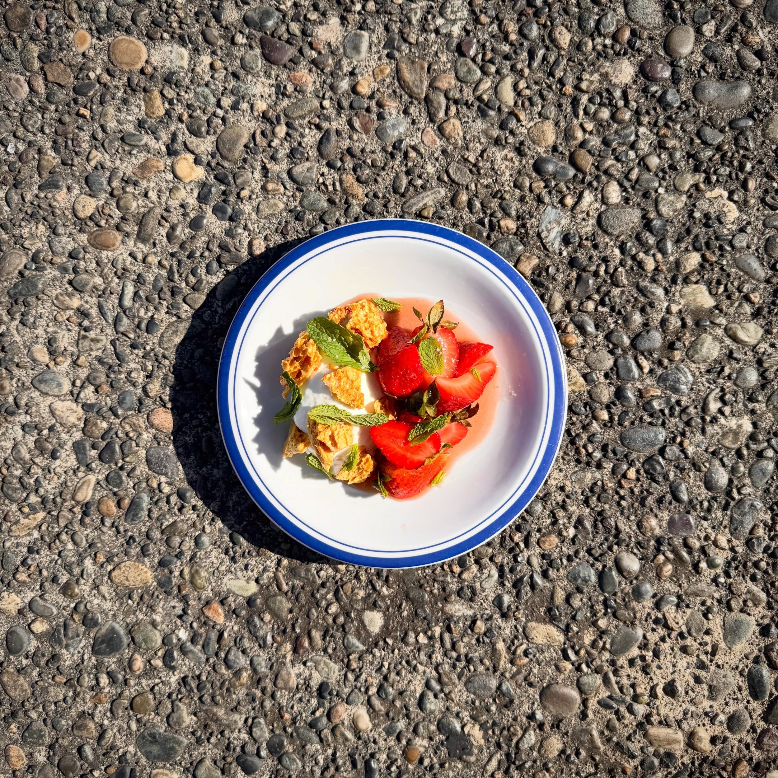 STRAWBERRIES &amp; CREAM

creme fraiche mousse, brown sugar honeycomb candy, macerated strawberries, mint

inspired by the classic lil snack of strawberries, dipped in sour cream and rolled in brown sugar. 

sometimes, letting a really great strawber
