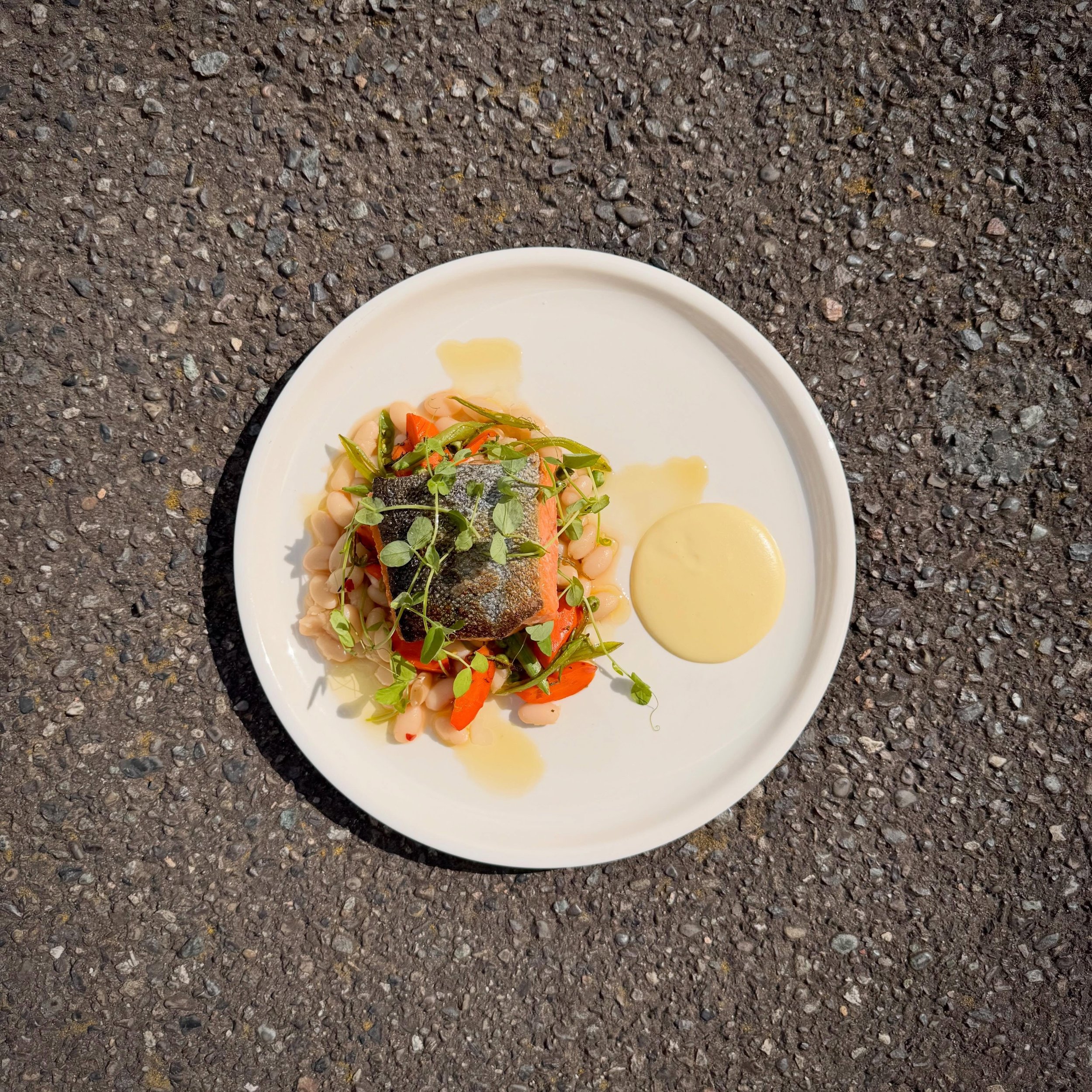 SPRING KING

great northern beans, horseradish &amp; green apple soubise, spring vegetable ragout, lemon puree, pea shoots

Beautiful net-caught king salmon from Quileute Nation in La Push, WA. 

This one checks some boxes for me&hellip; really playi