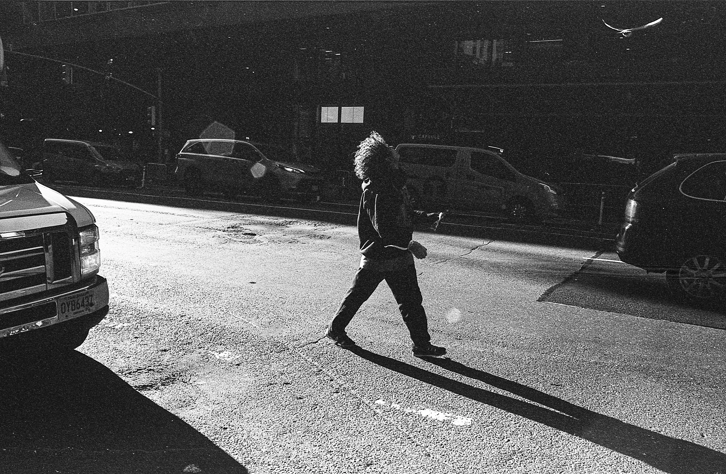 Black and white photo of a person with curly hair walking across a street, with strong shadows cast. Several vehicles and a bird in flight are visible in the background.