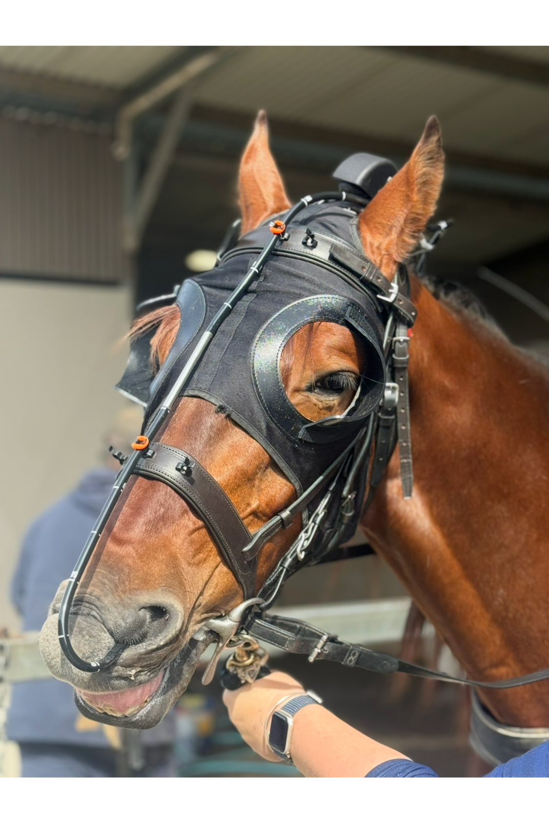 dynamic endoscope.png