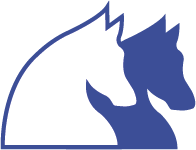 Agnes Banks Equine Clinic