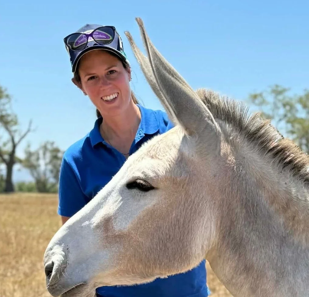 sarah Gough Bates Specialist Equine Medicine donkey ABEC