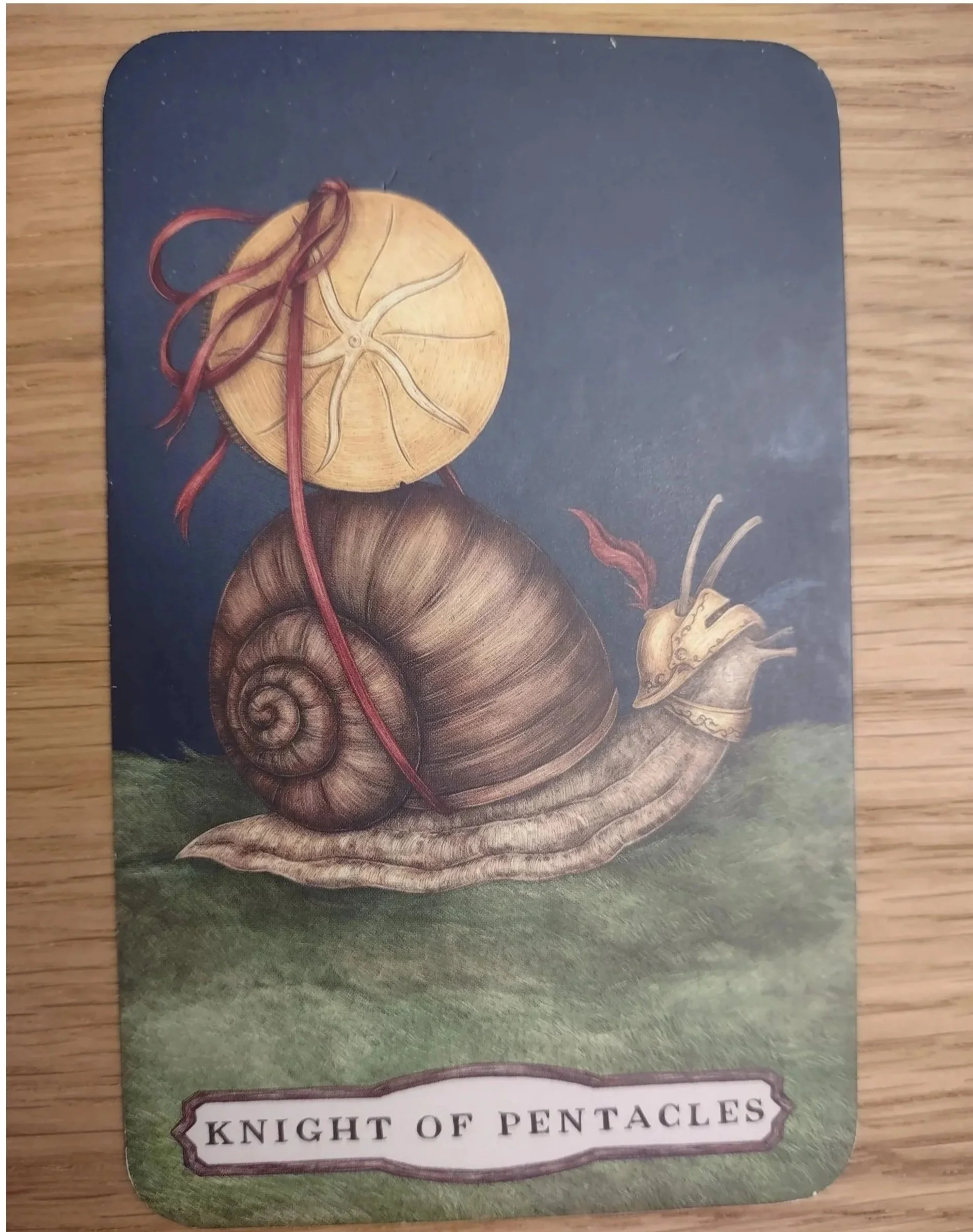 Knight of Pentacles