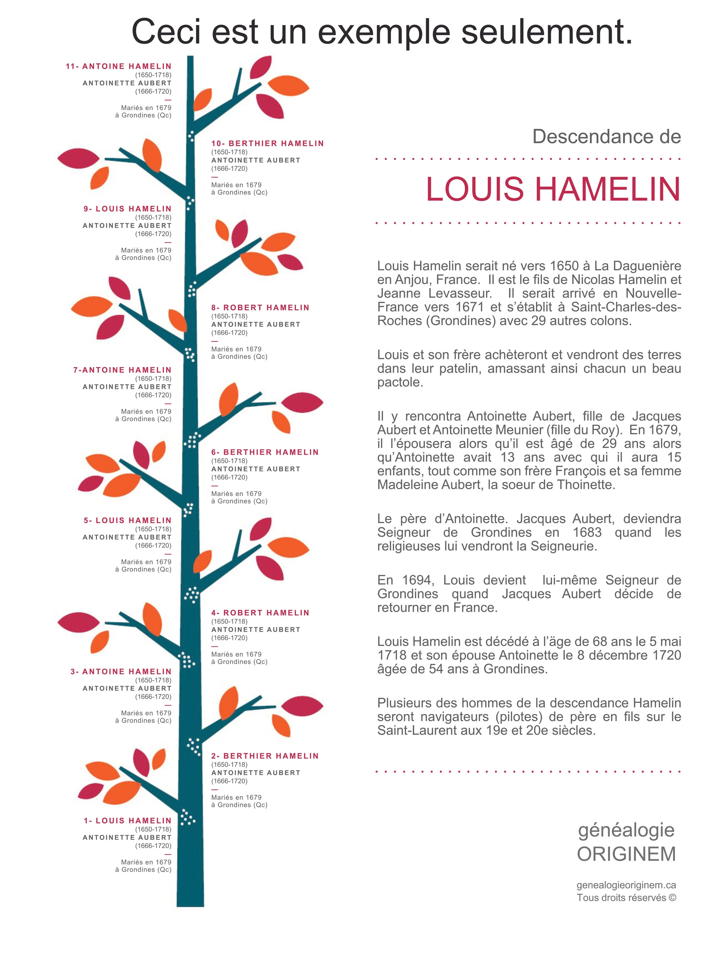 arbre feuille rouge_11 gén_WEB.jpg