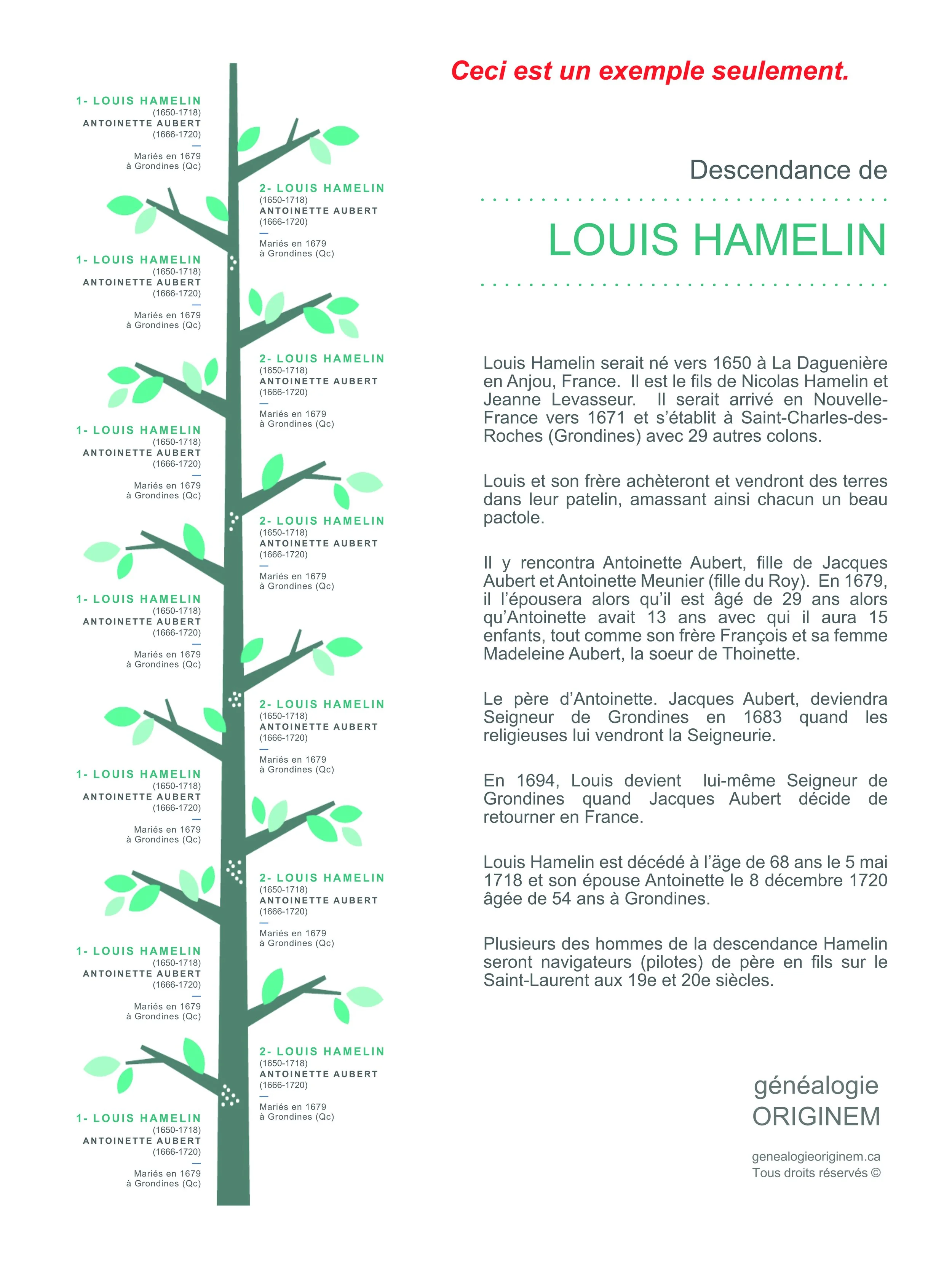 Modèle d'arbre généalogique exclusif.