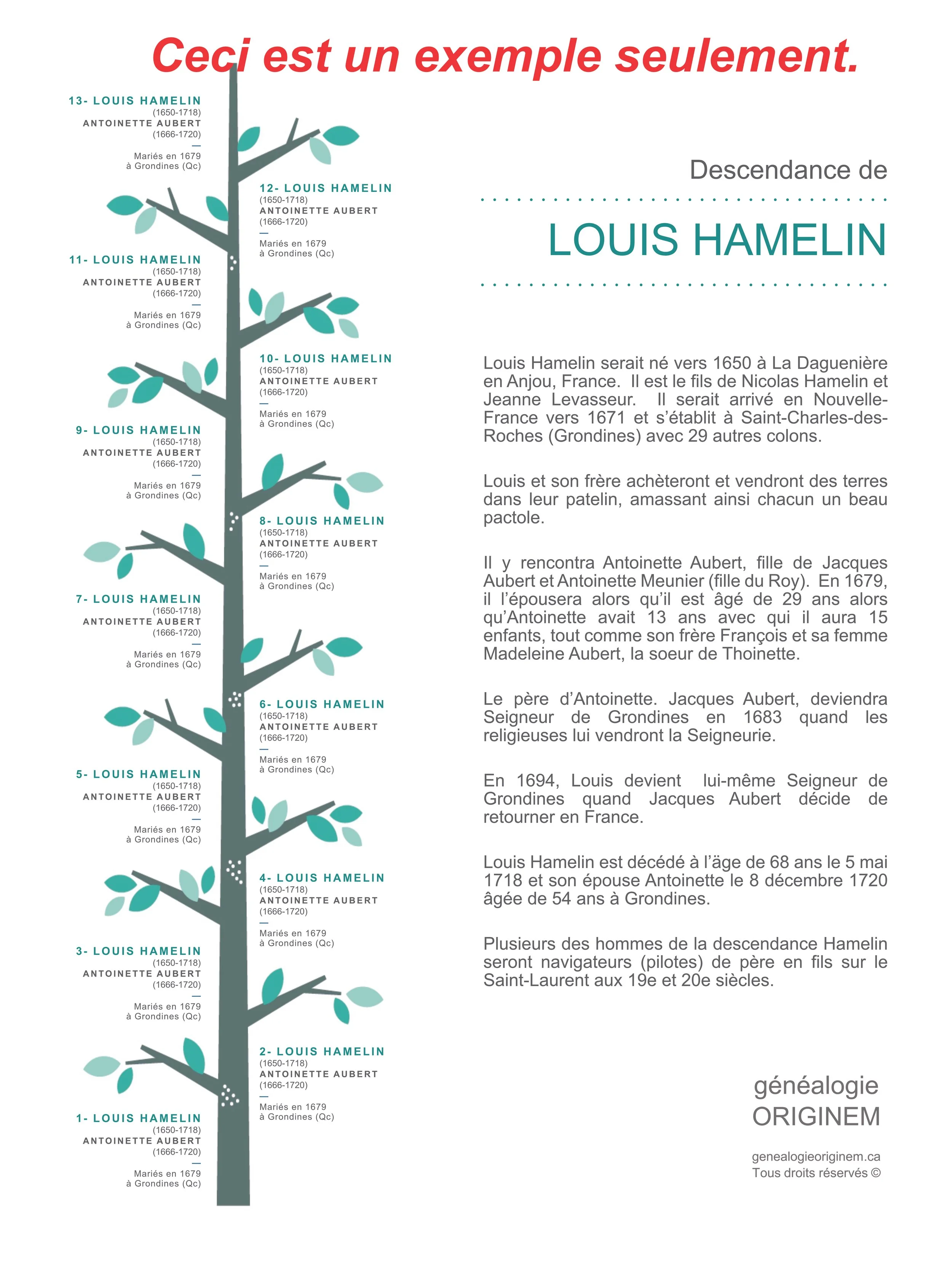 arbre feuille vert_13 gén_WEB.jpg