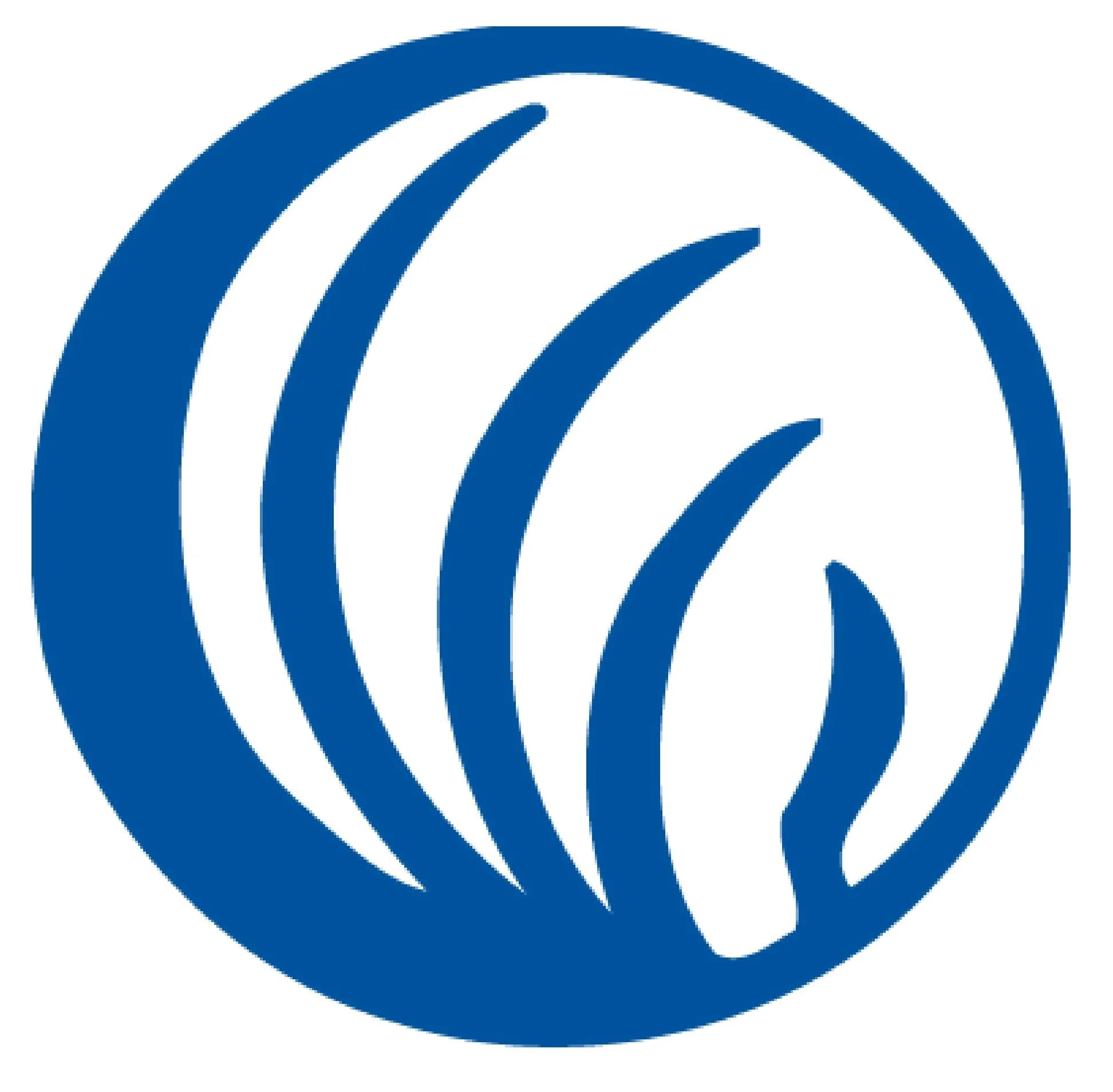 Square-Blue-NAMI-logo-no-letters.jpg