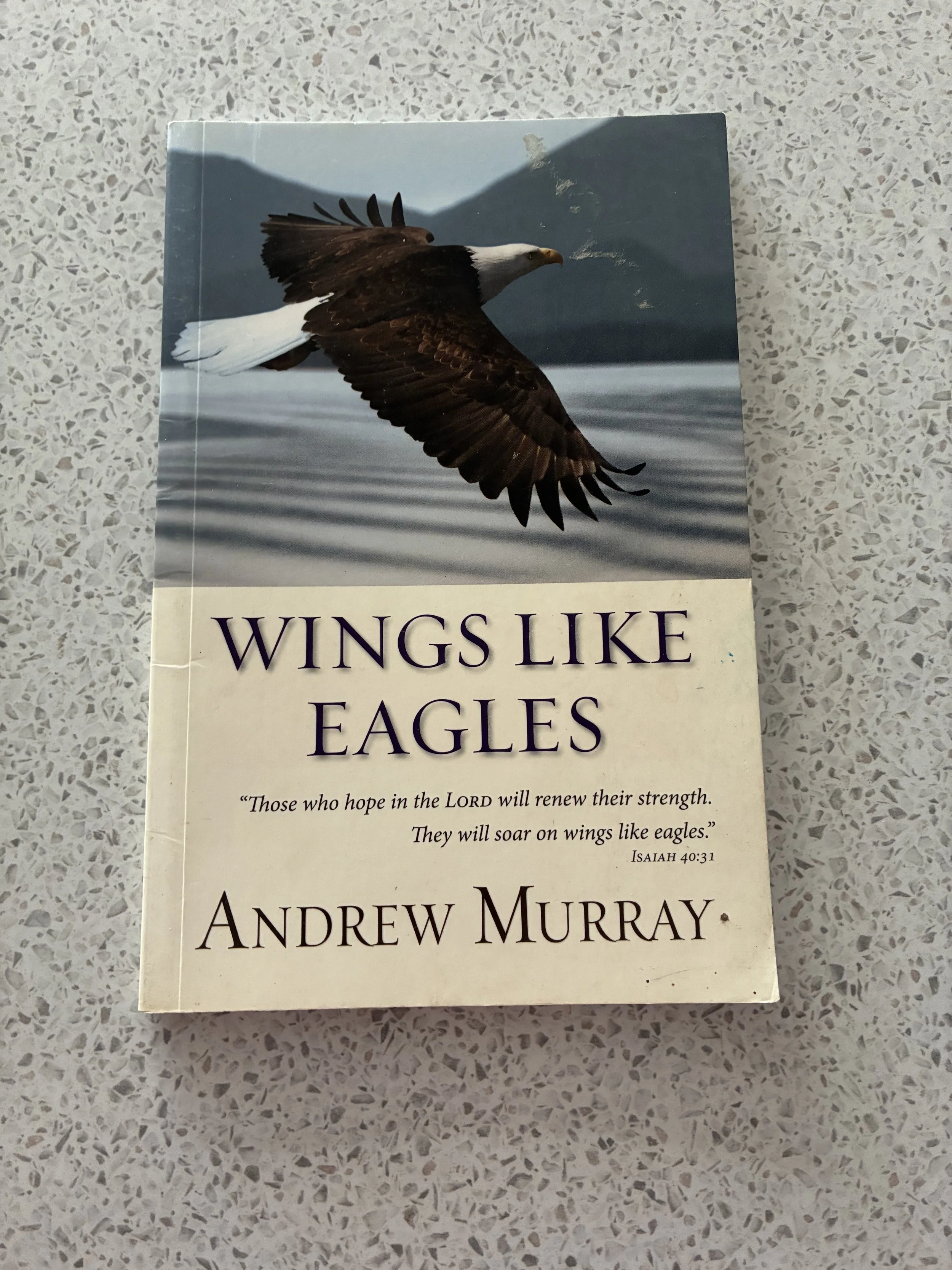 Wings Like Eagles (Andrew Murray)