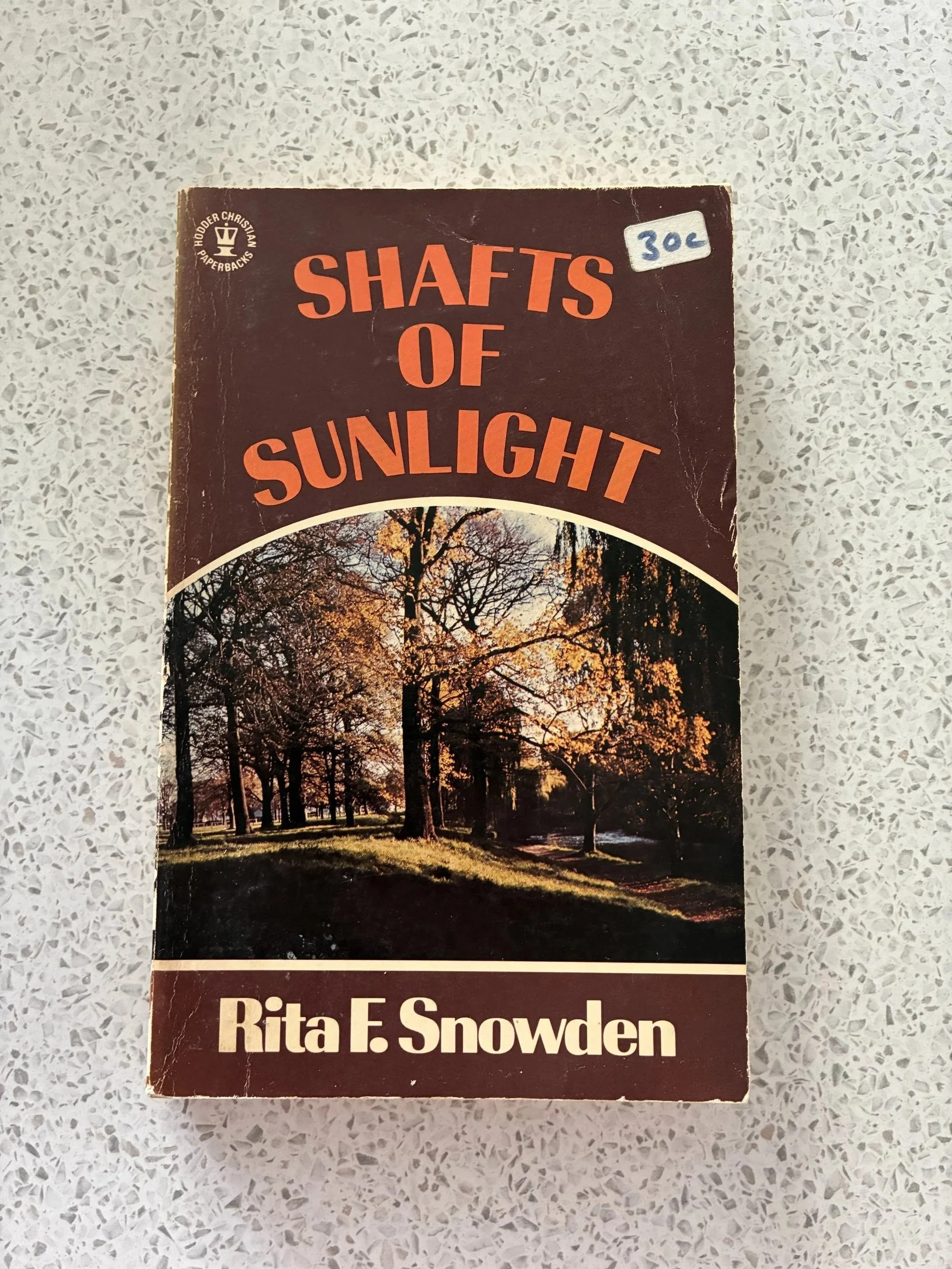 Shafts of Sunlight (Rita F. Snowden)