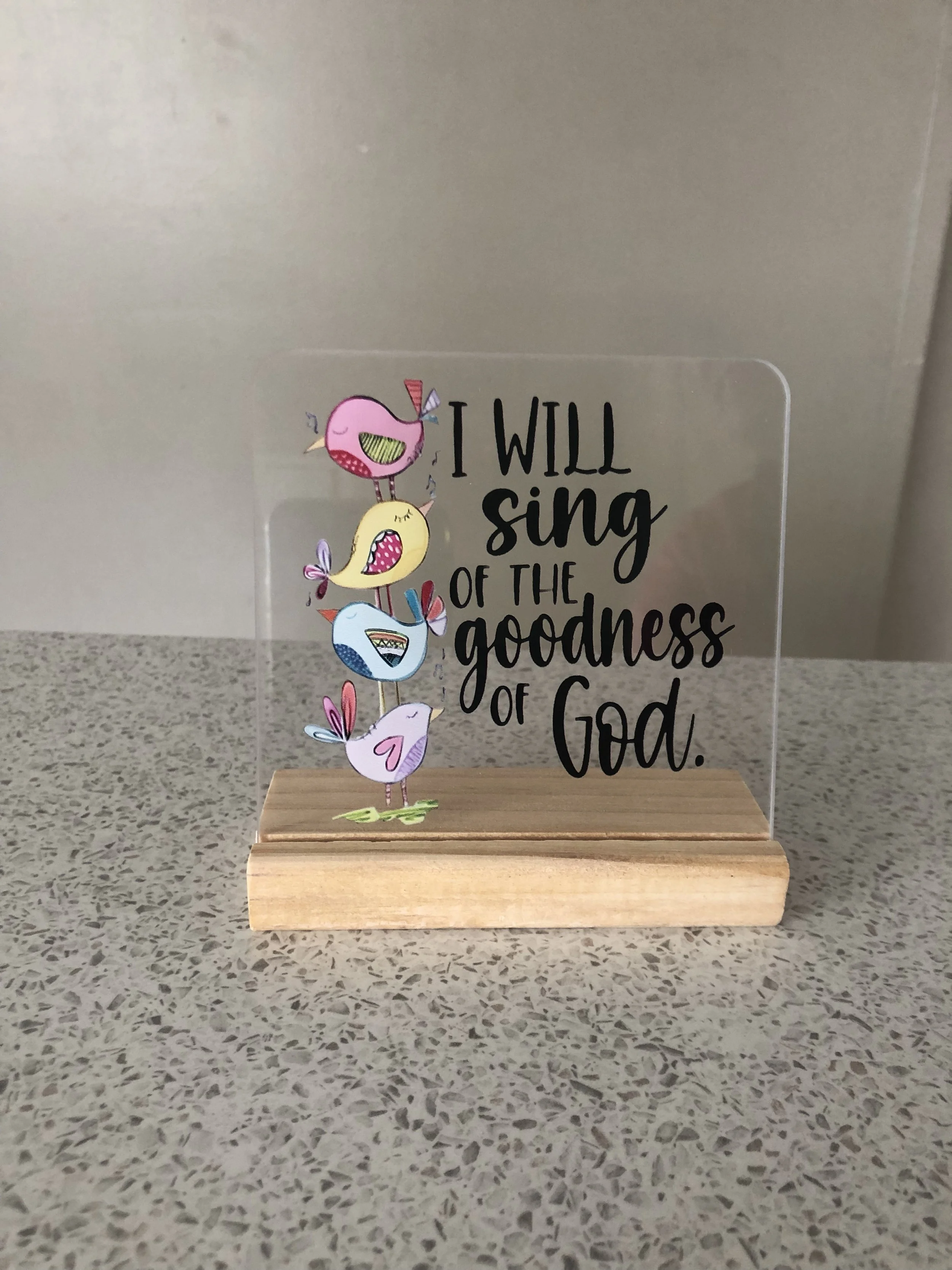 IMG_8900.jpg