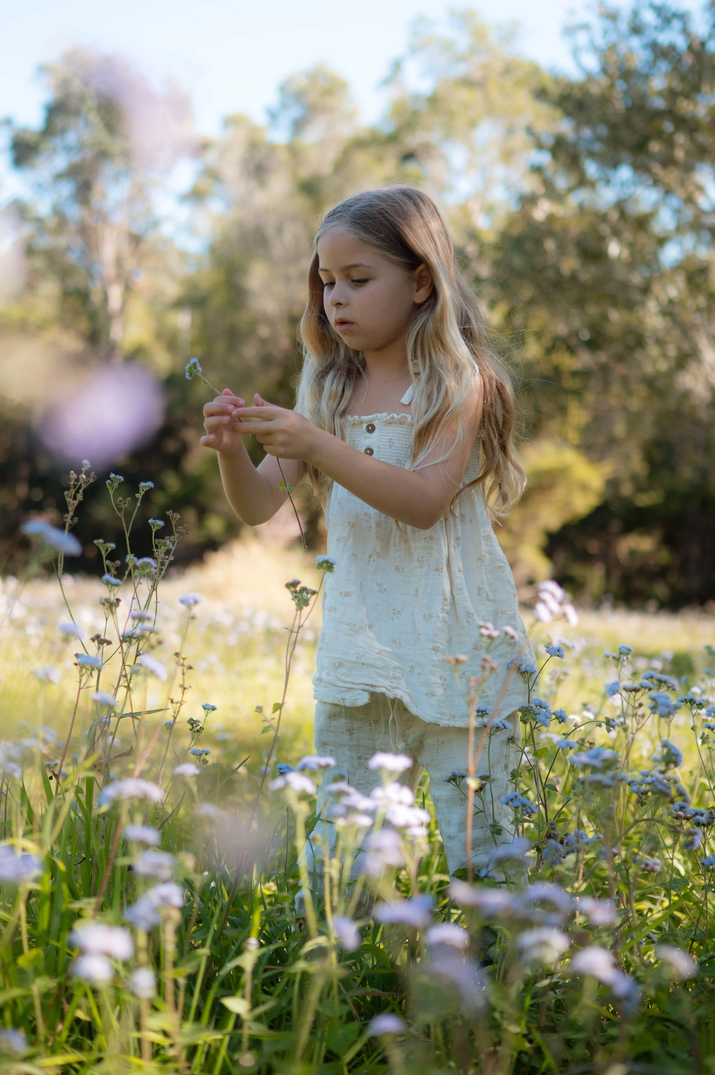 willow-5.jpg