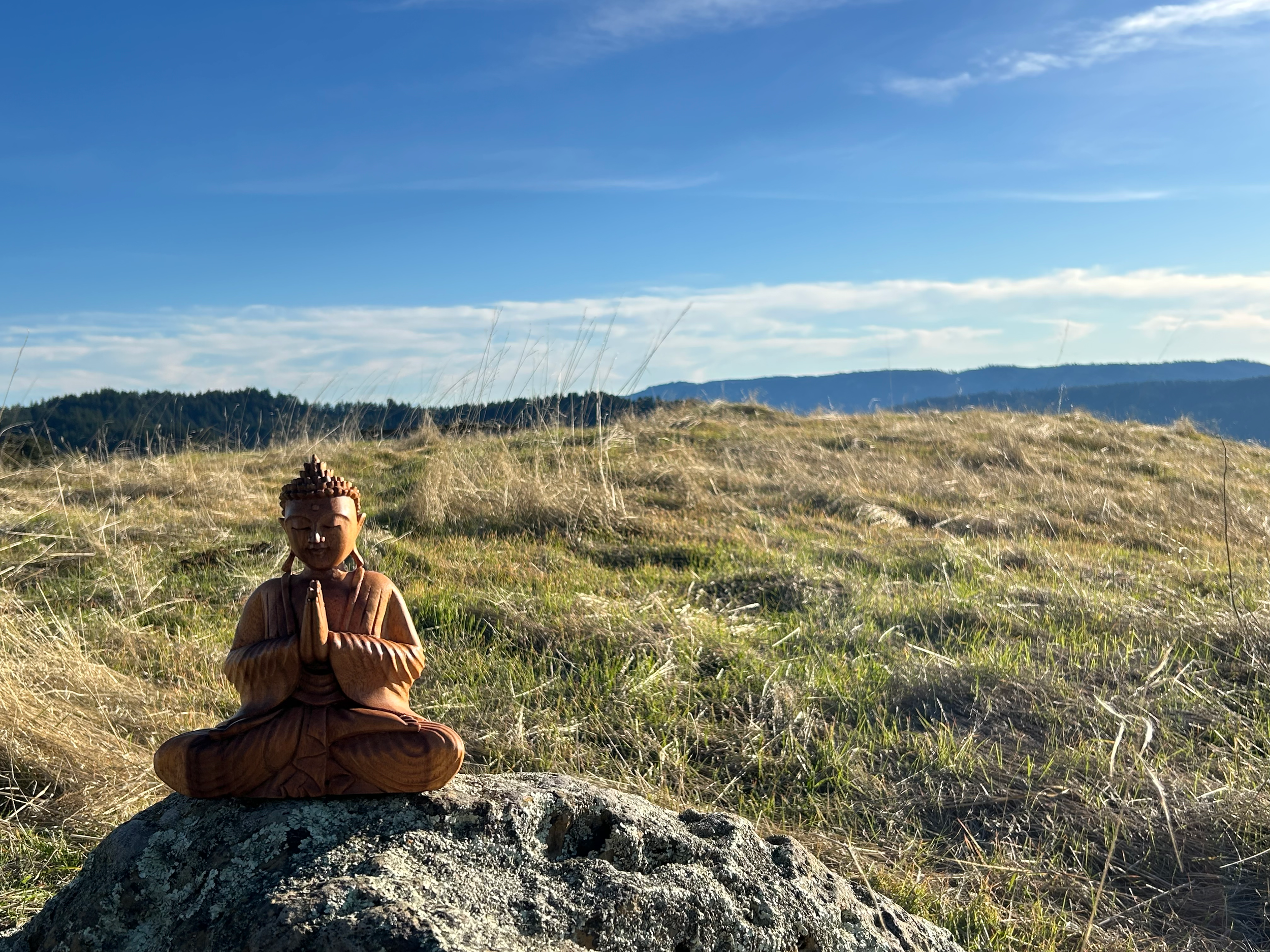 A field of California wild grasses, tall and brown or green, with a large rock in the foreground. A light brown wooden Buddha statue rests on the rock while the sun shines brightly down. The sky is endlessly blue, with soft clouds in the far distance