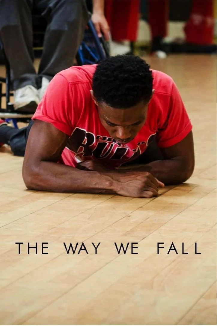 The Way We Fall Poster