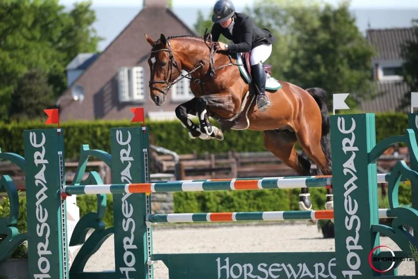 MOSITO VAN HET HELLEHOF