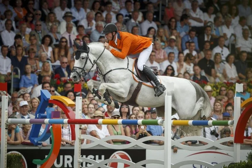Zirocco Blue x Pegase van't Ruytershof
