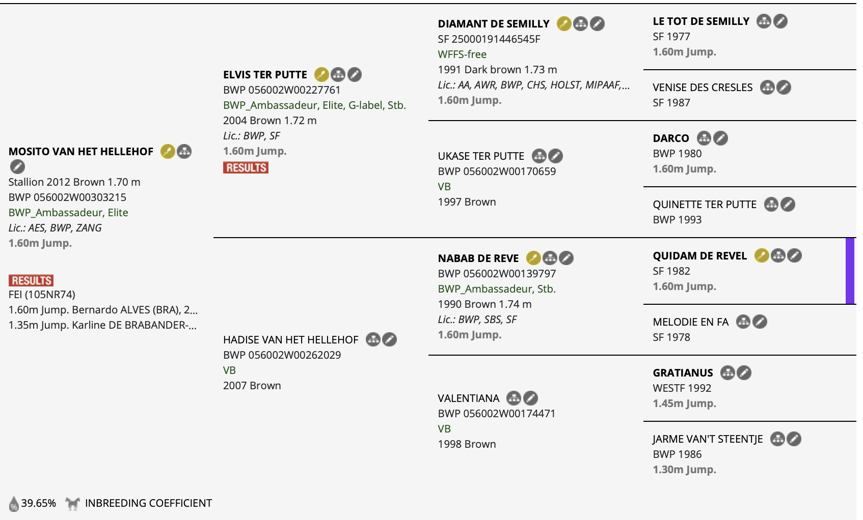 MOSITO VAN HET HELLEHOF