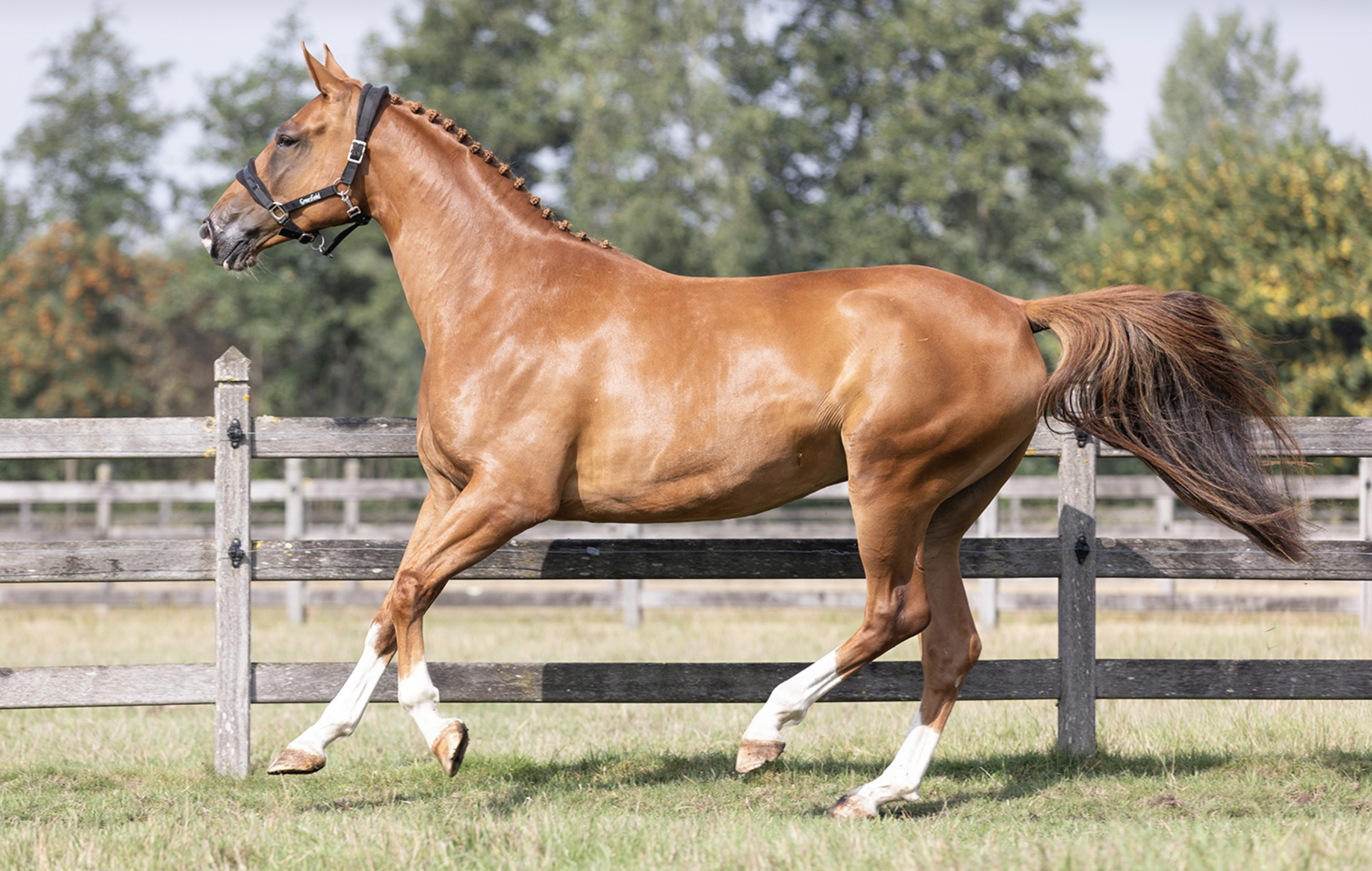 Screenshot 2026-02-19 at 5.20.28 PM.png