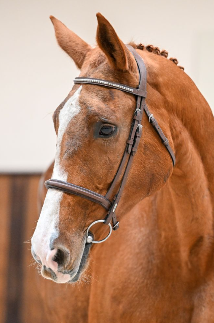 GAGNANTE DE MUZE_Beas.png