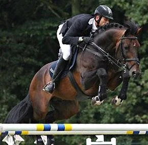 THUNDER VAN DE ZUUTHOEVE