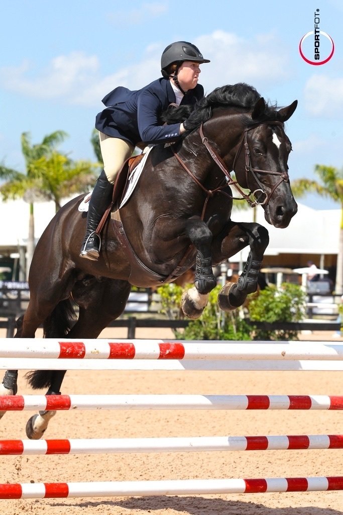 VASCO DA GAMMA VAN HET GONNEHOF_.jpeg