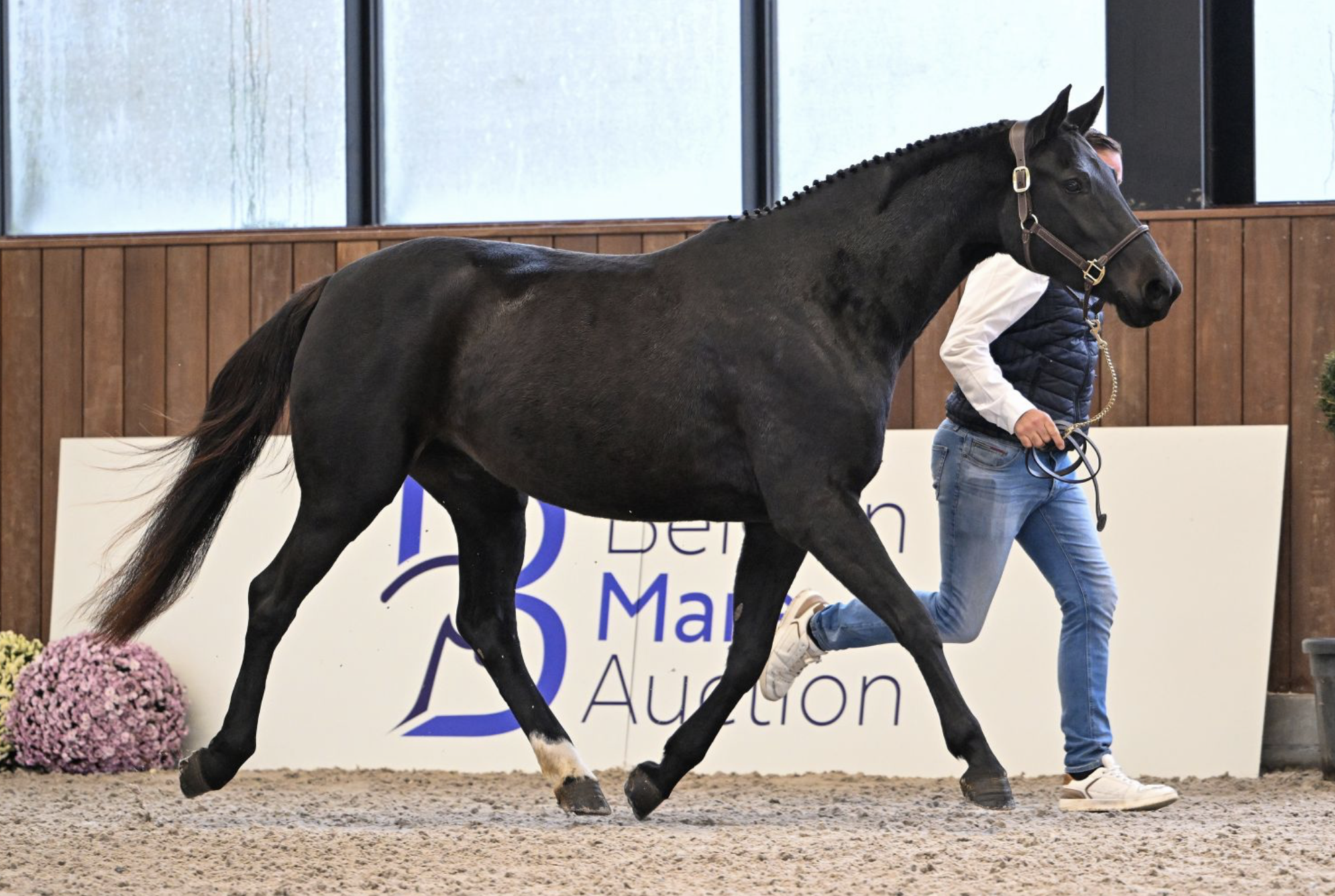 COMME ELLE FAUT DE CARMEL