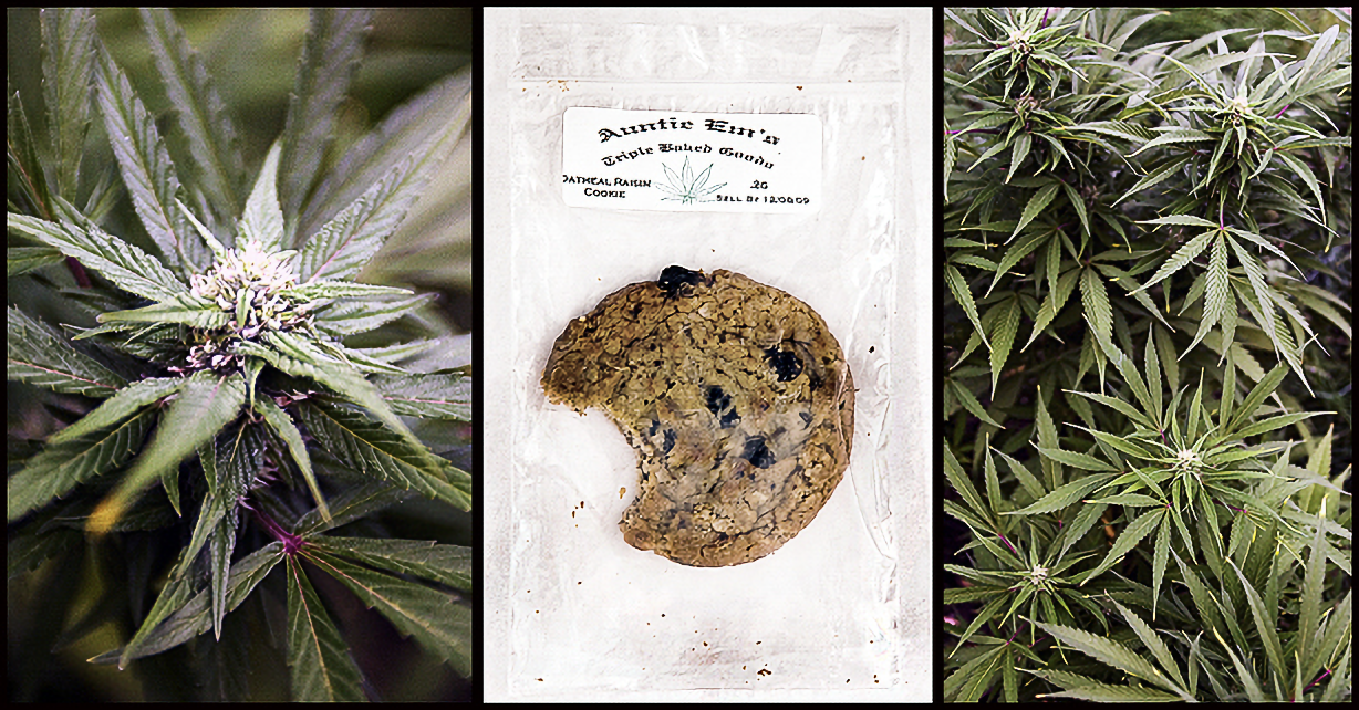 AuntieEms-Enhanced-SR-1 copy.webp