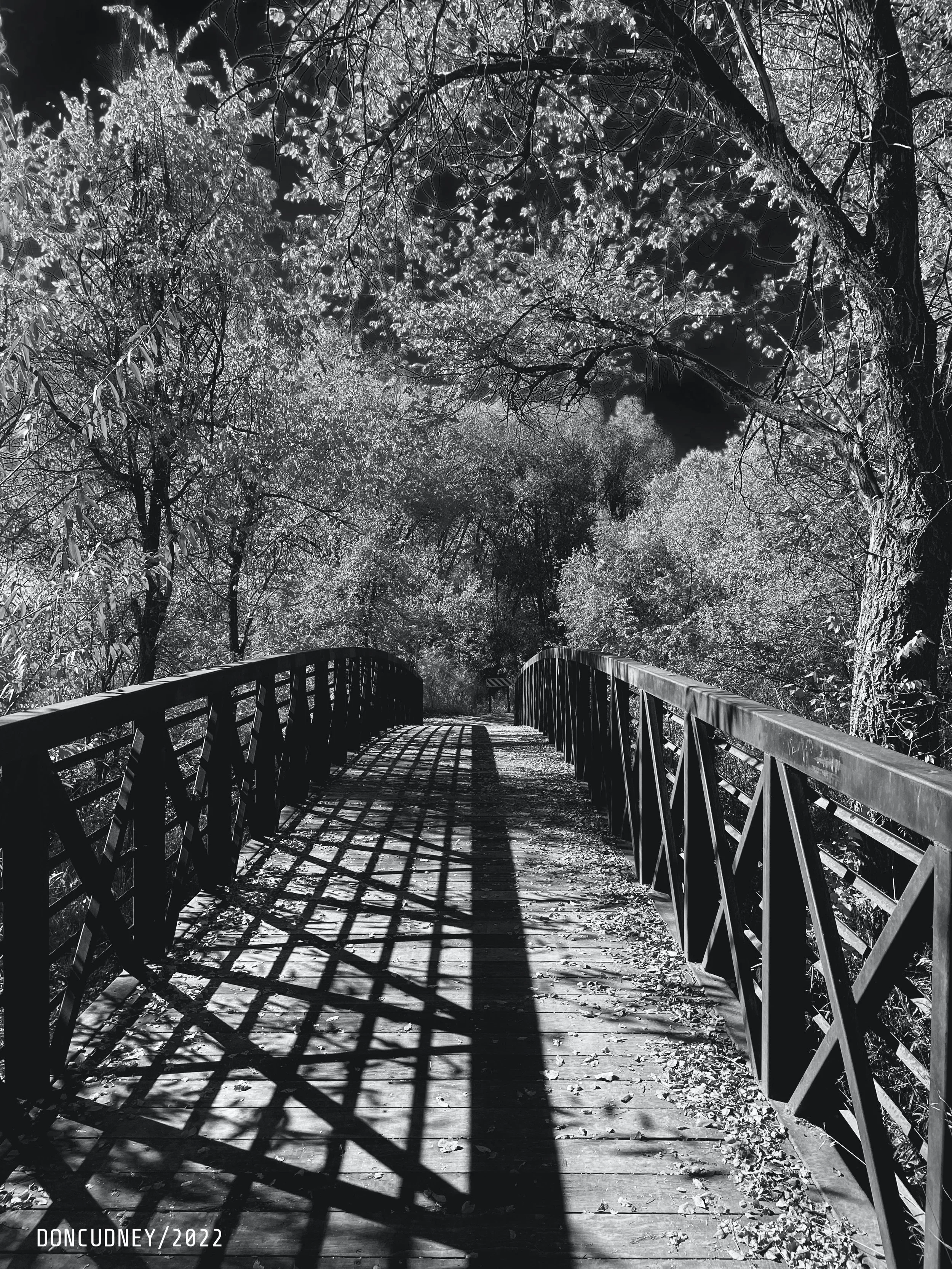 bridge.jpeg