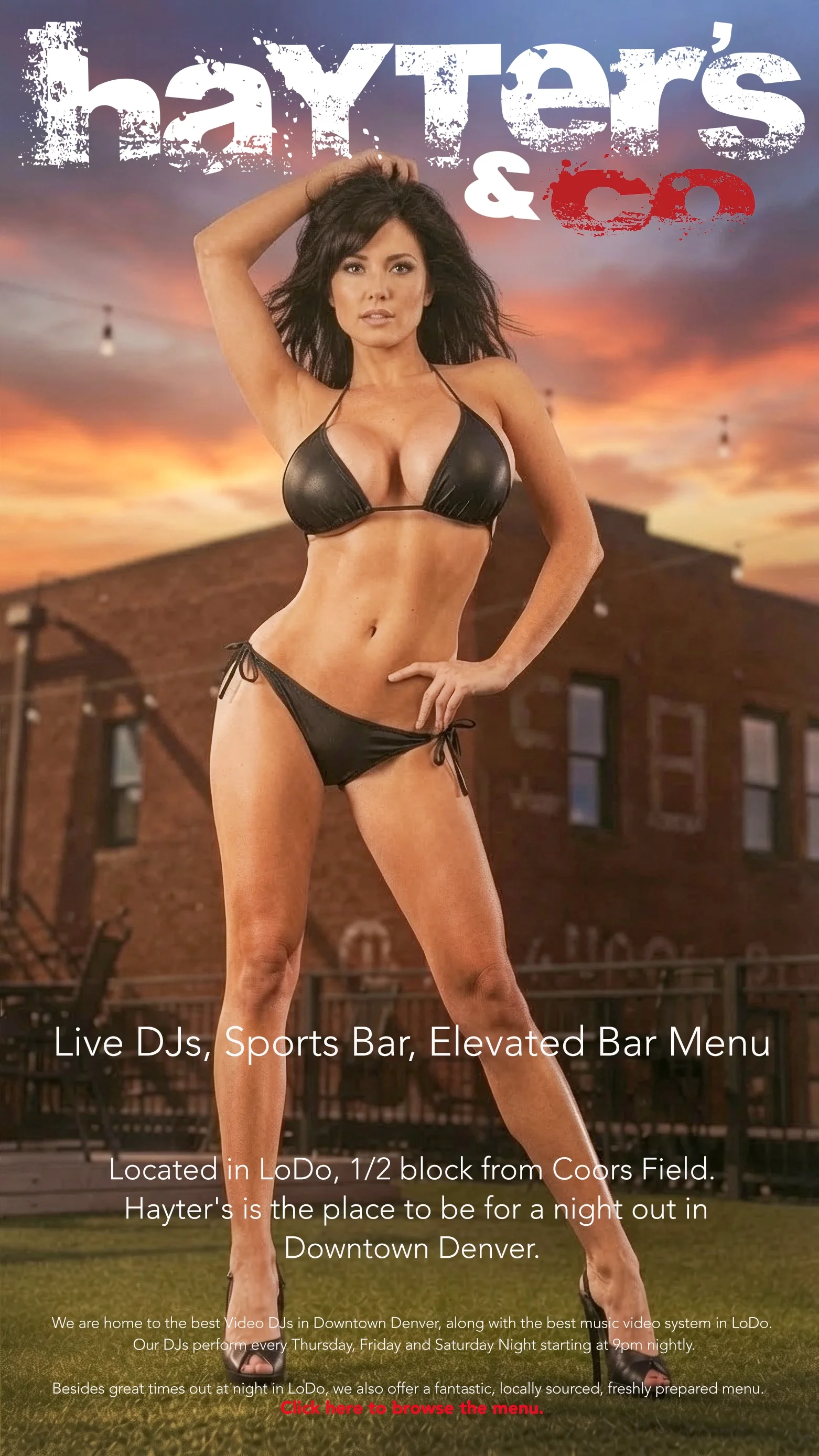 hayterssportsbar copy.webp