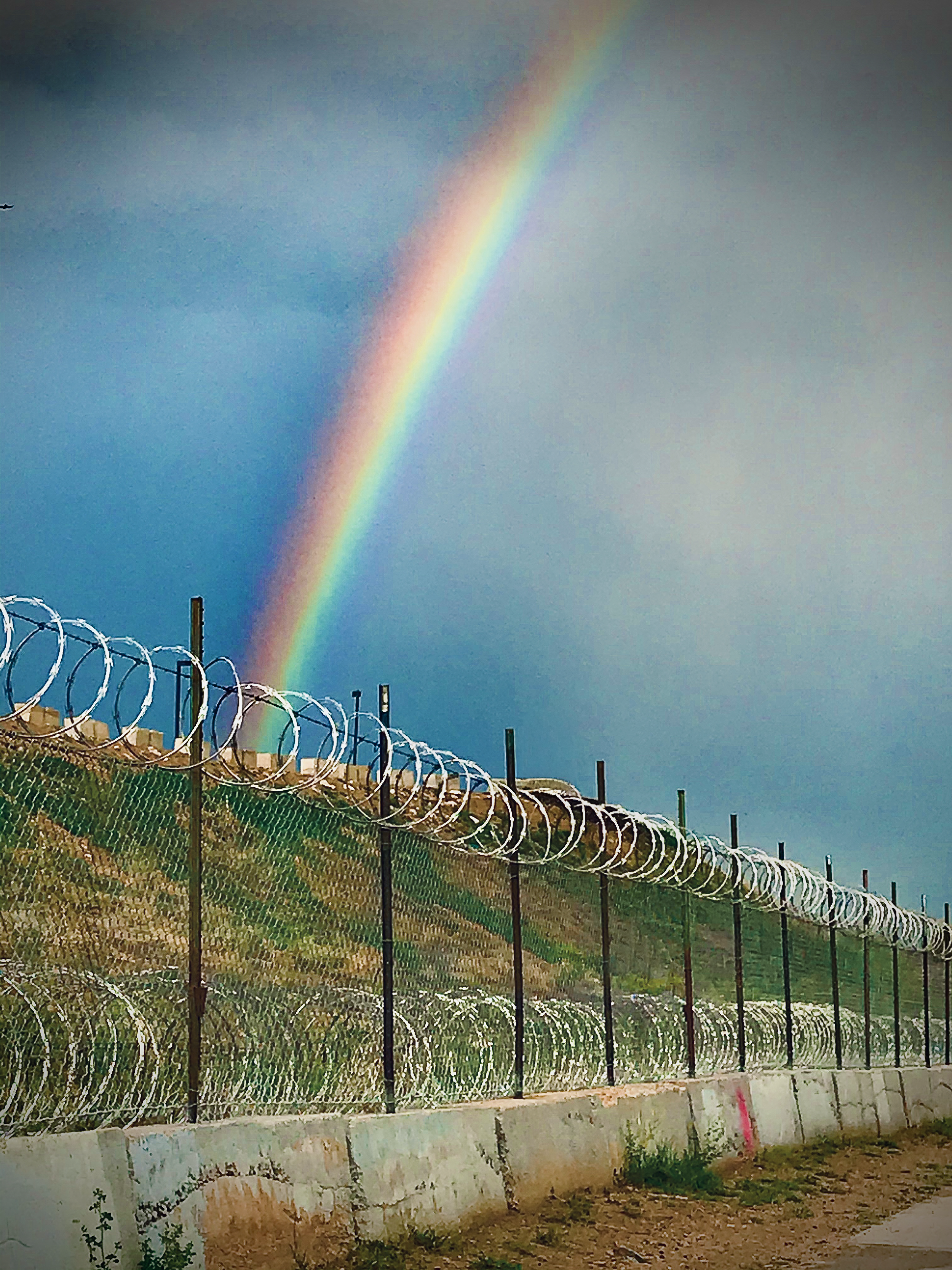 Rainbow&BarbedWire copy.webp