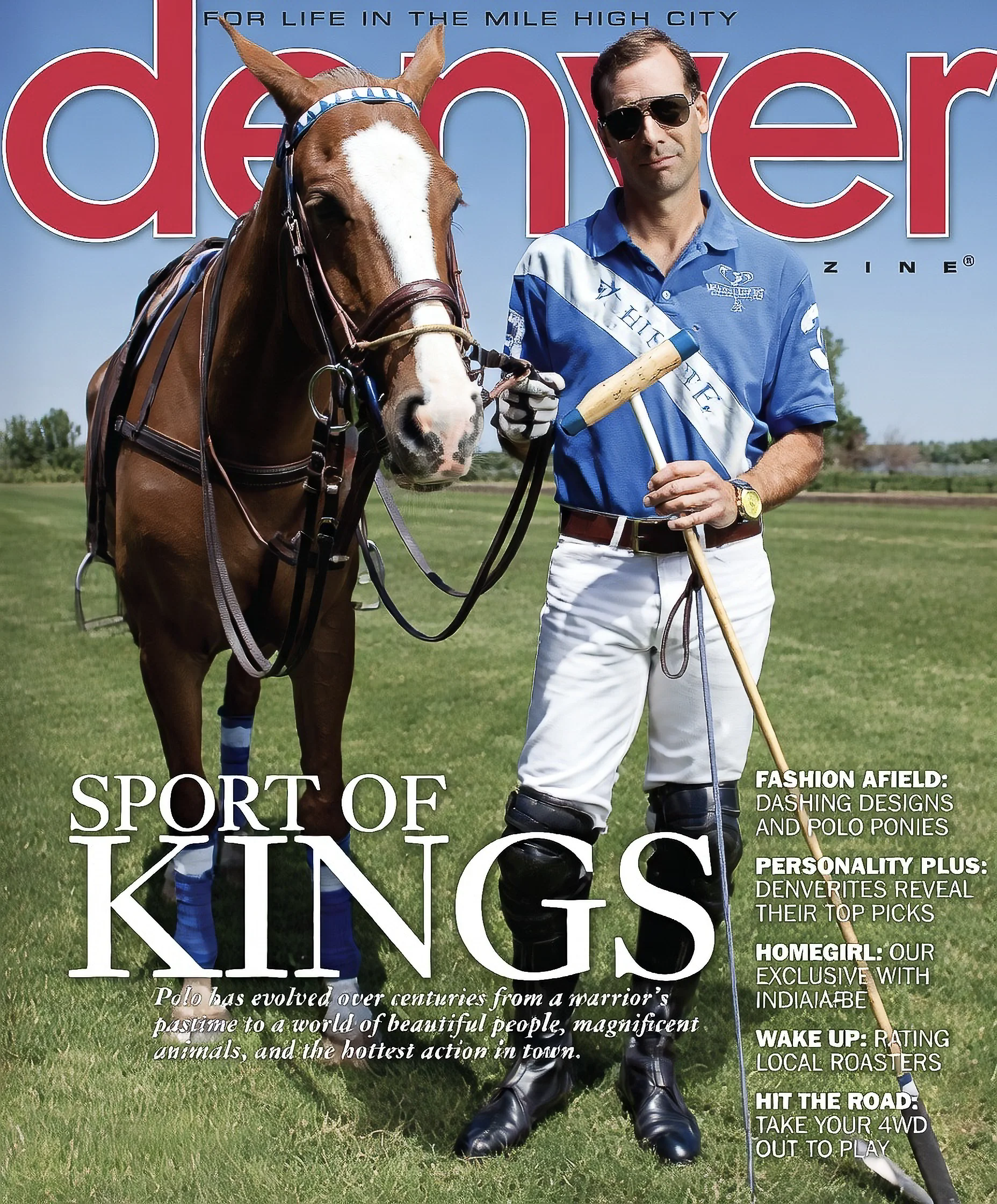 SportofKings copy.webp