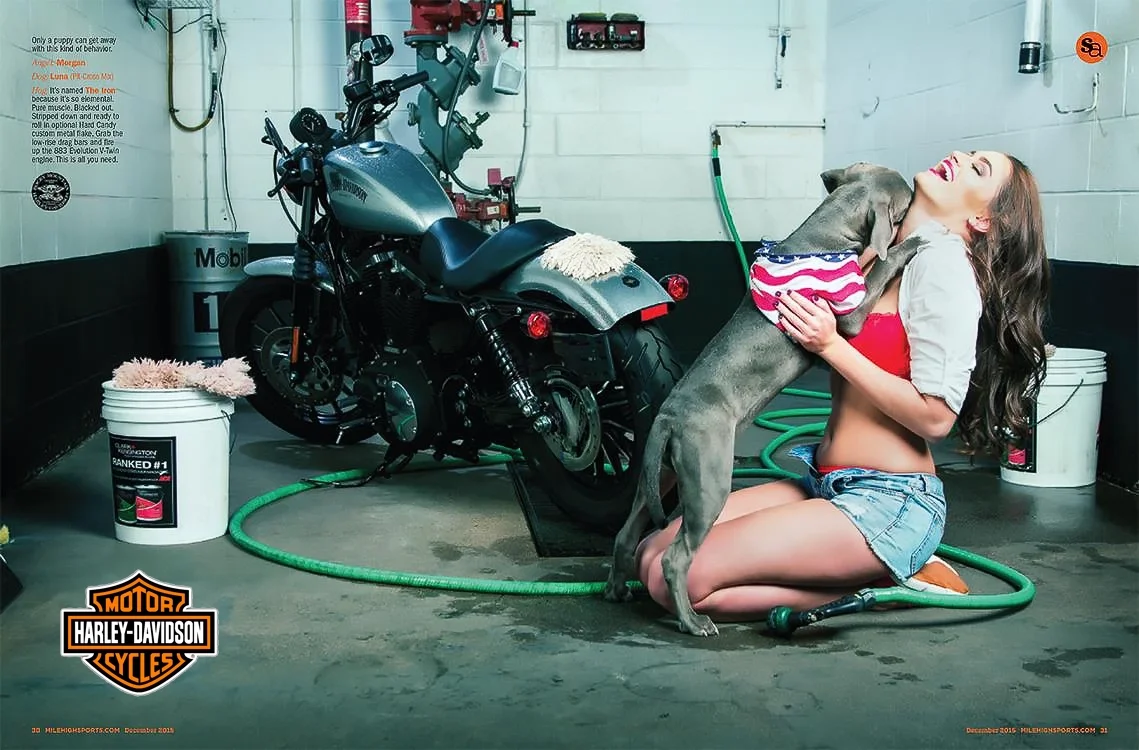 harleydavidson_morgantaylor copy.webp