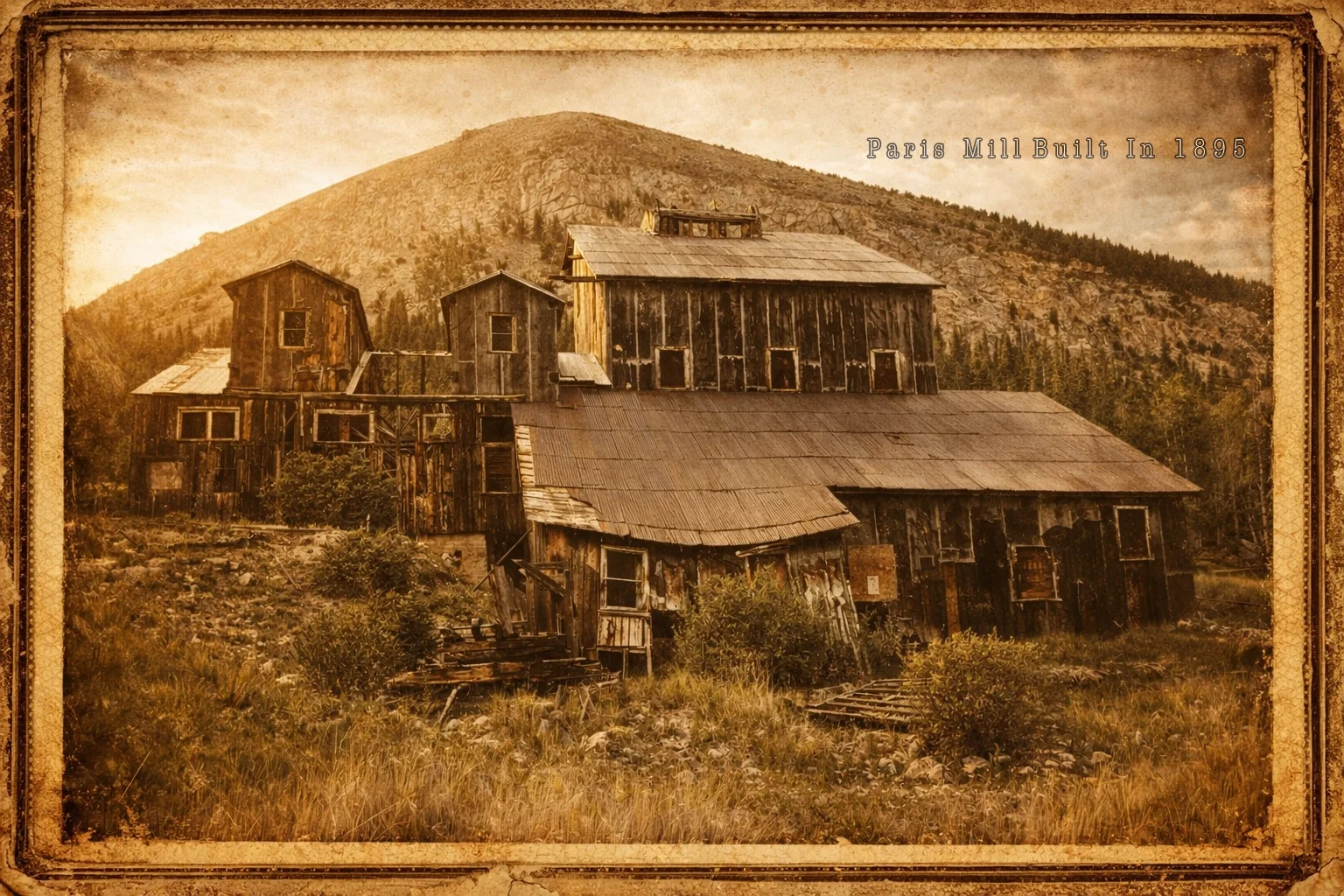 ParisMill_OldTreatment copy.webp