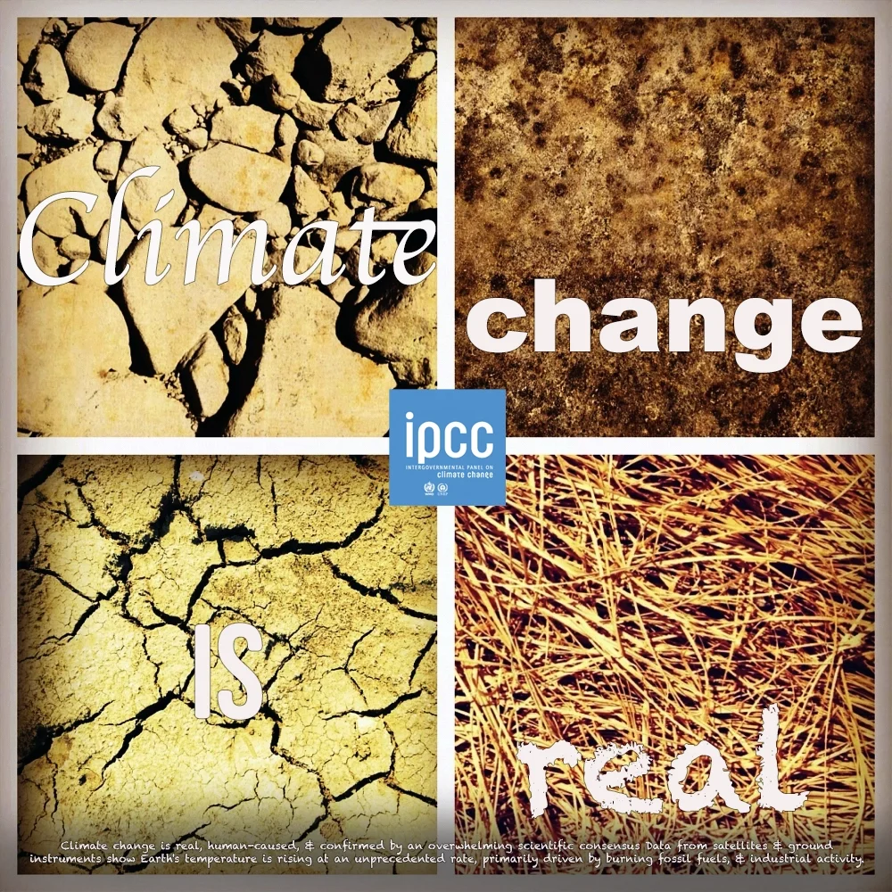 climatechangeisreal copy.webp