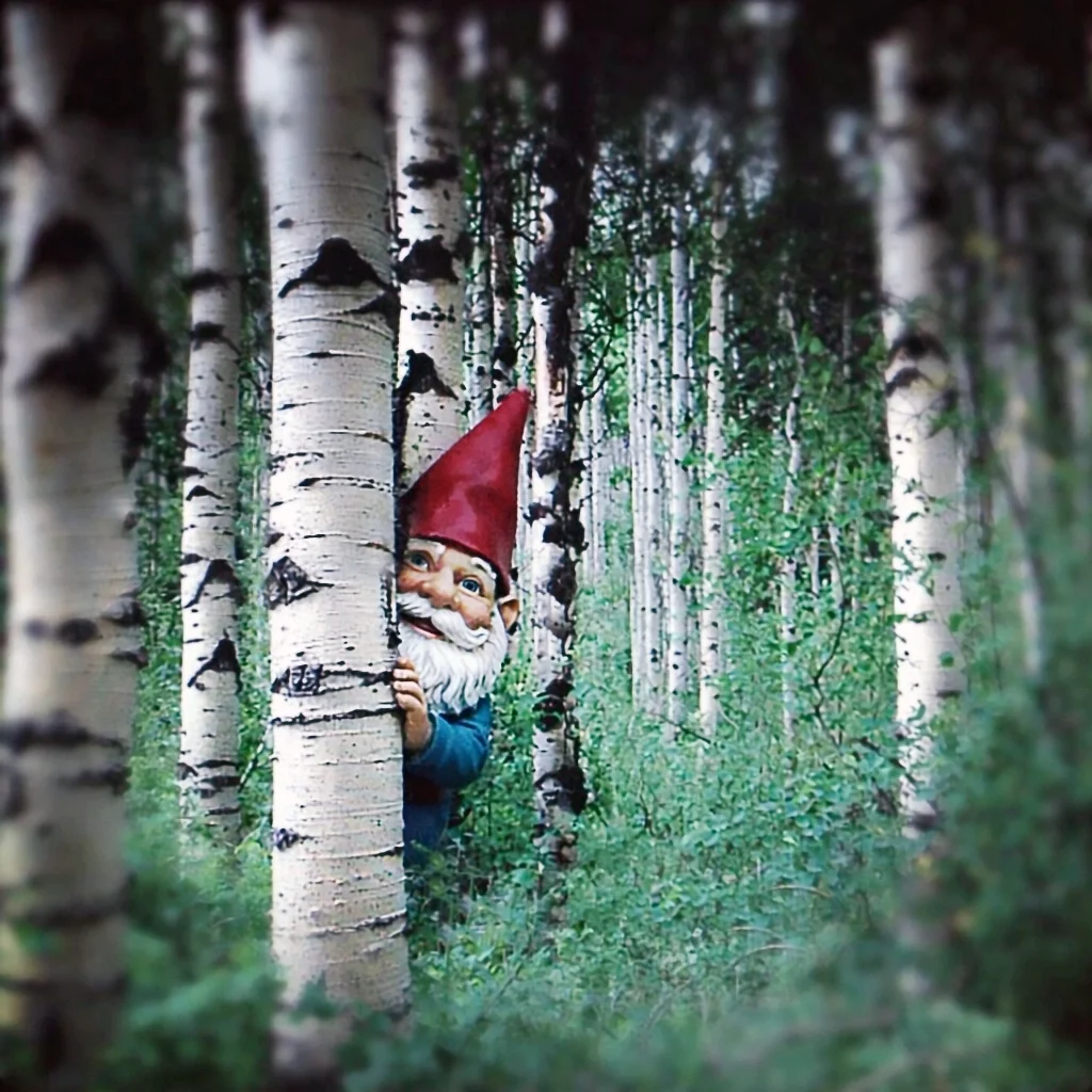 GnomeAmongtheAspens copy.webp