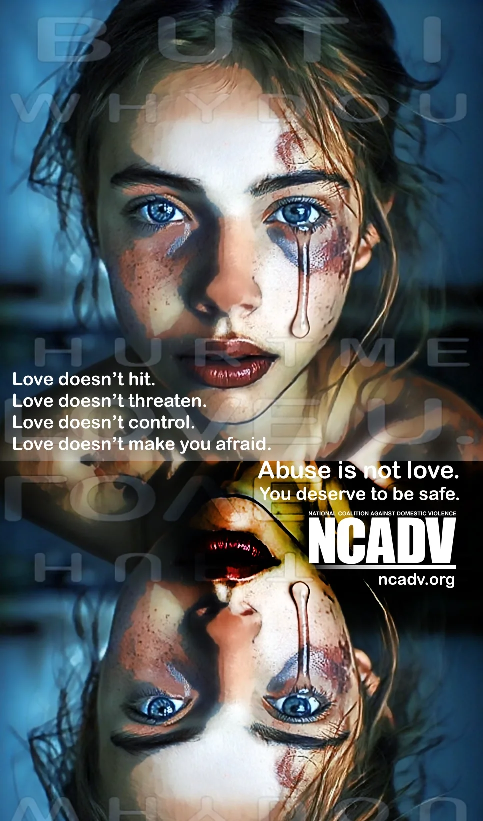 NCADV copy.webp