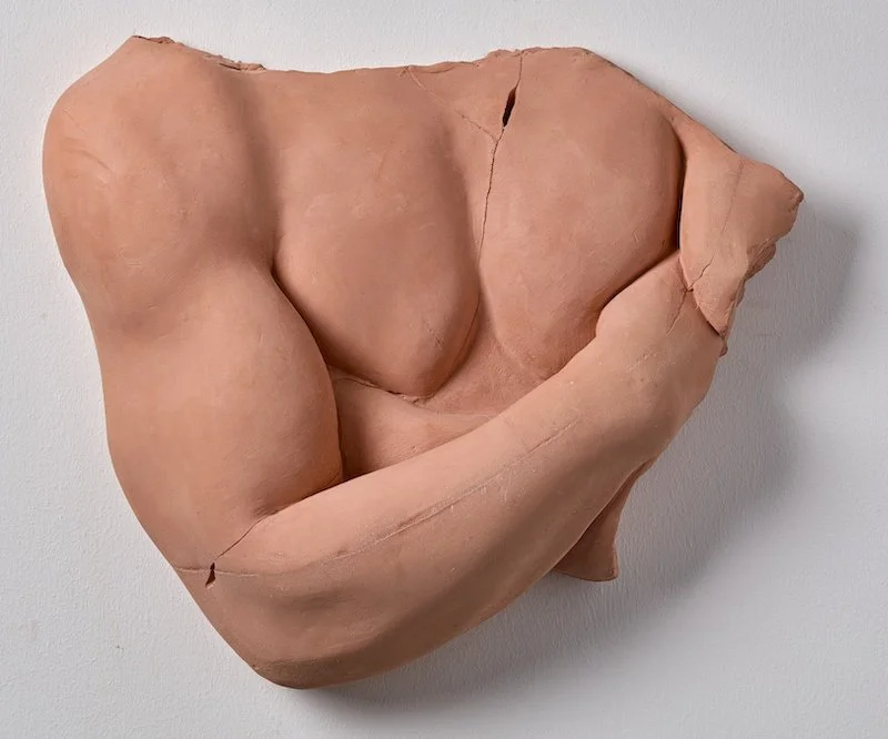 TORSO.  Coloured cement. 500 x 420