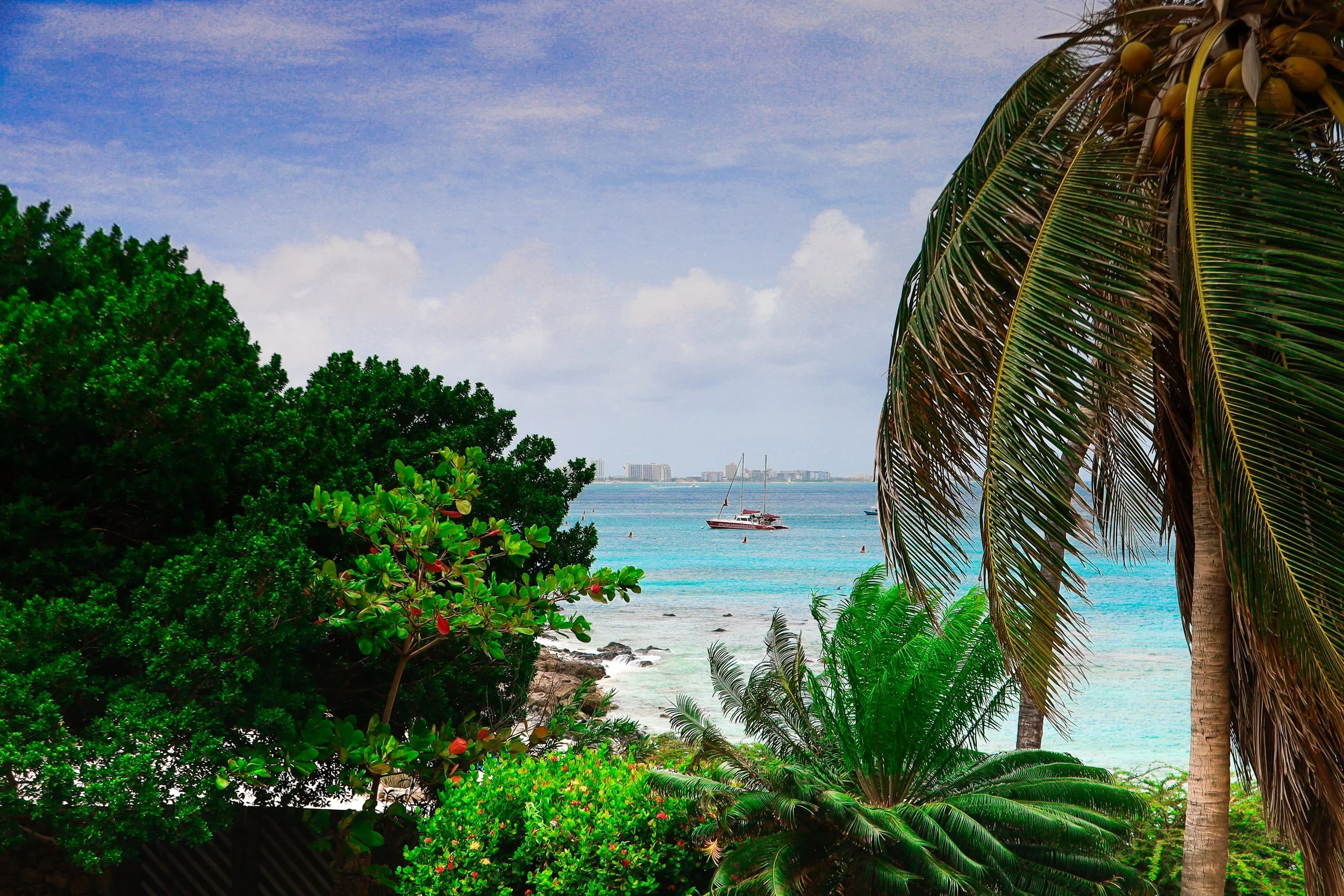 aruba-ocean-view-catamaran-palm-trees.jpg