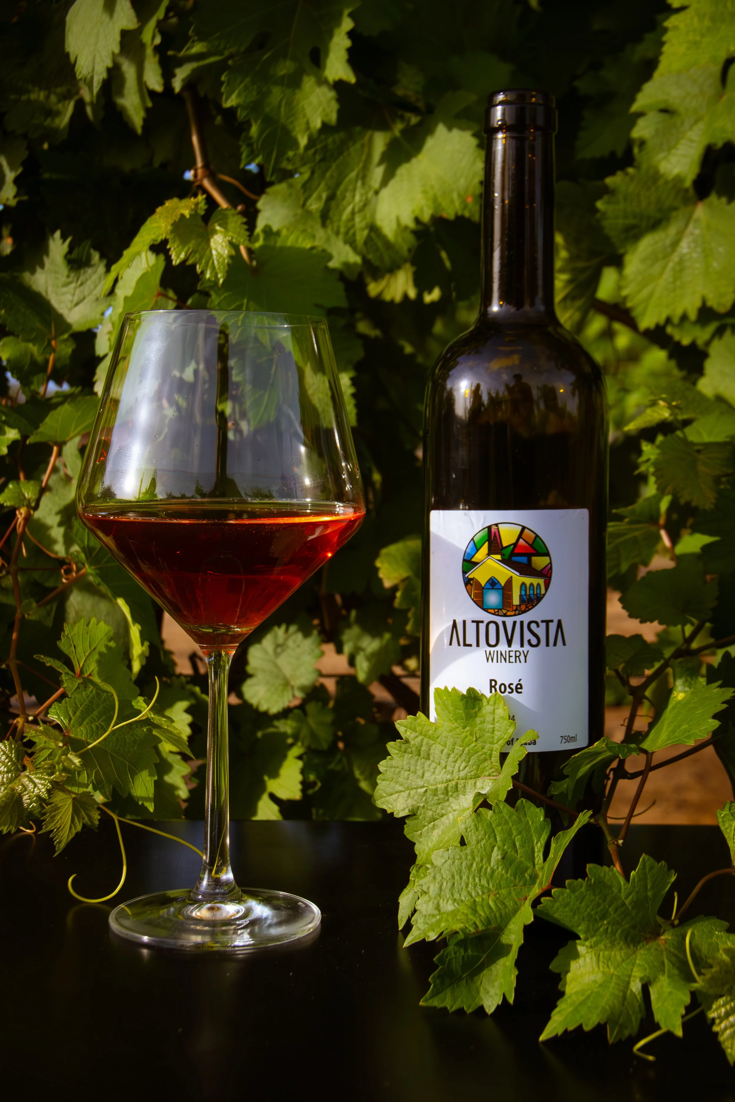 MRZ-Alto_Vista_Winery_November_SM-2025-21.jpg