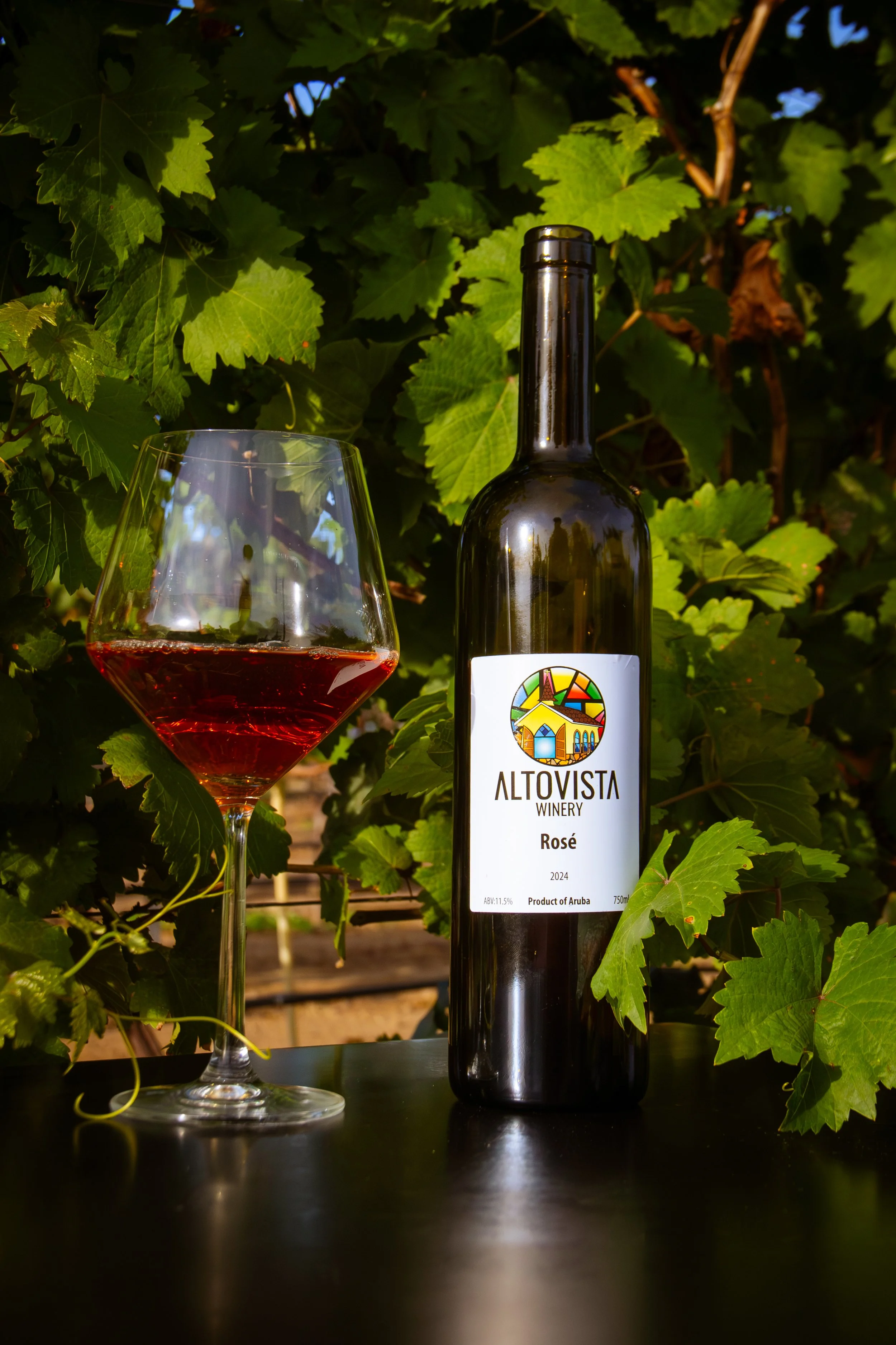 MRZ-Alto_Vista_Winery_November_SM-2025-20.jpg
